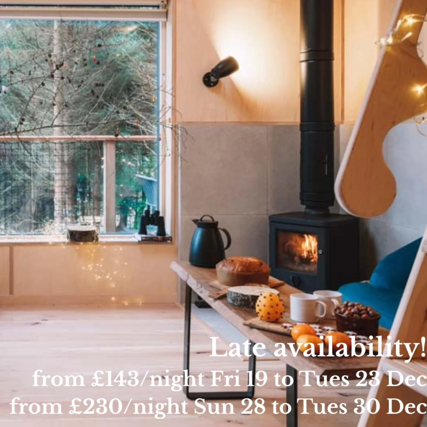 See our bio to book or our Book button on our website 🎄 🎅 🎄