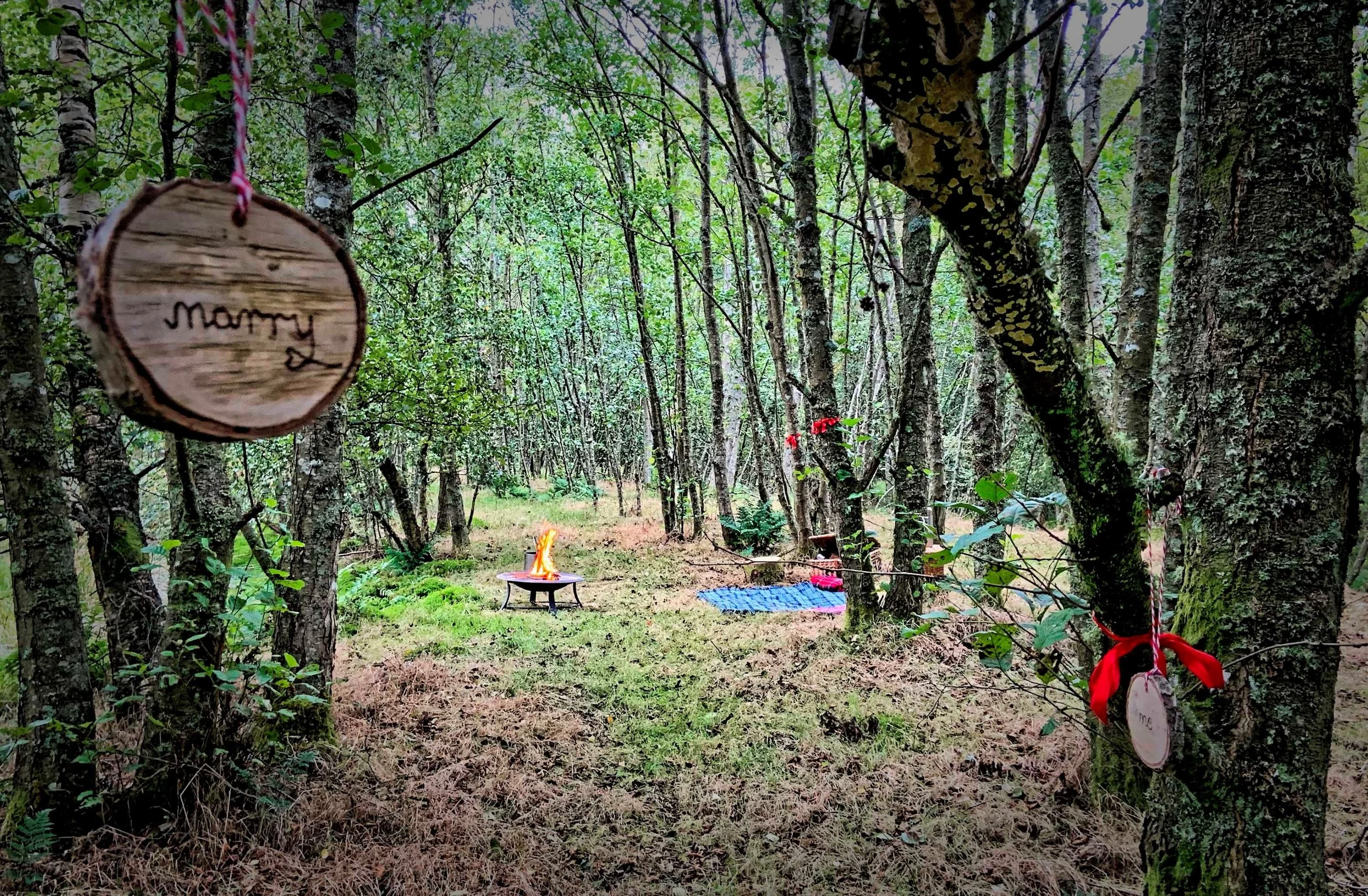 Woodland picnic trail