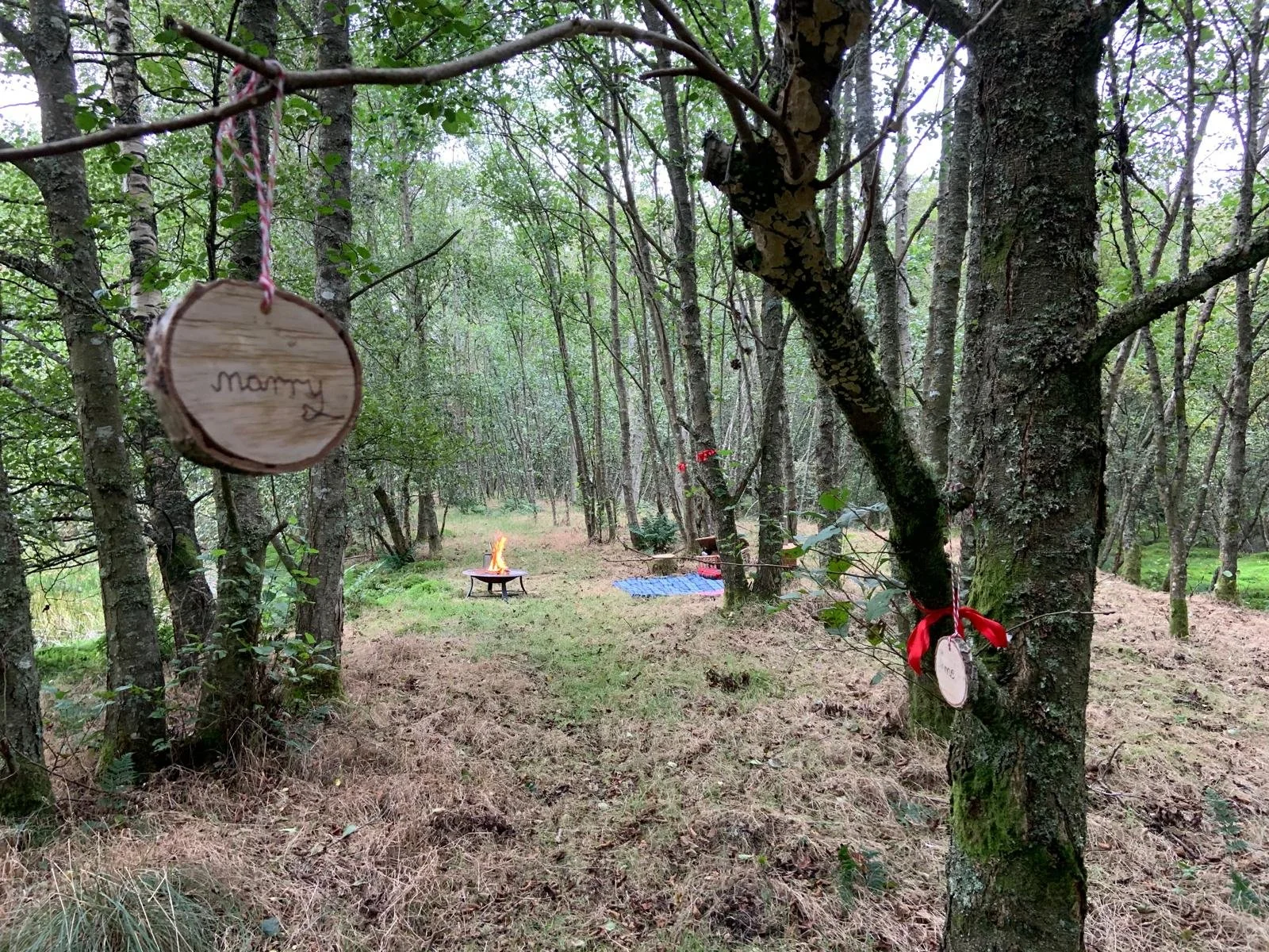 Woodland picnic trail