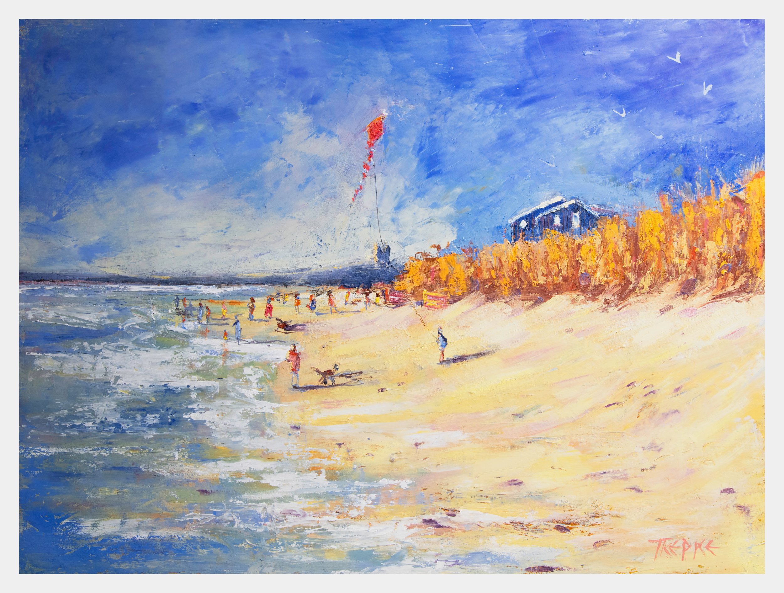 kite flying fun - low newton beach ss.jpg