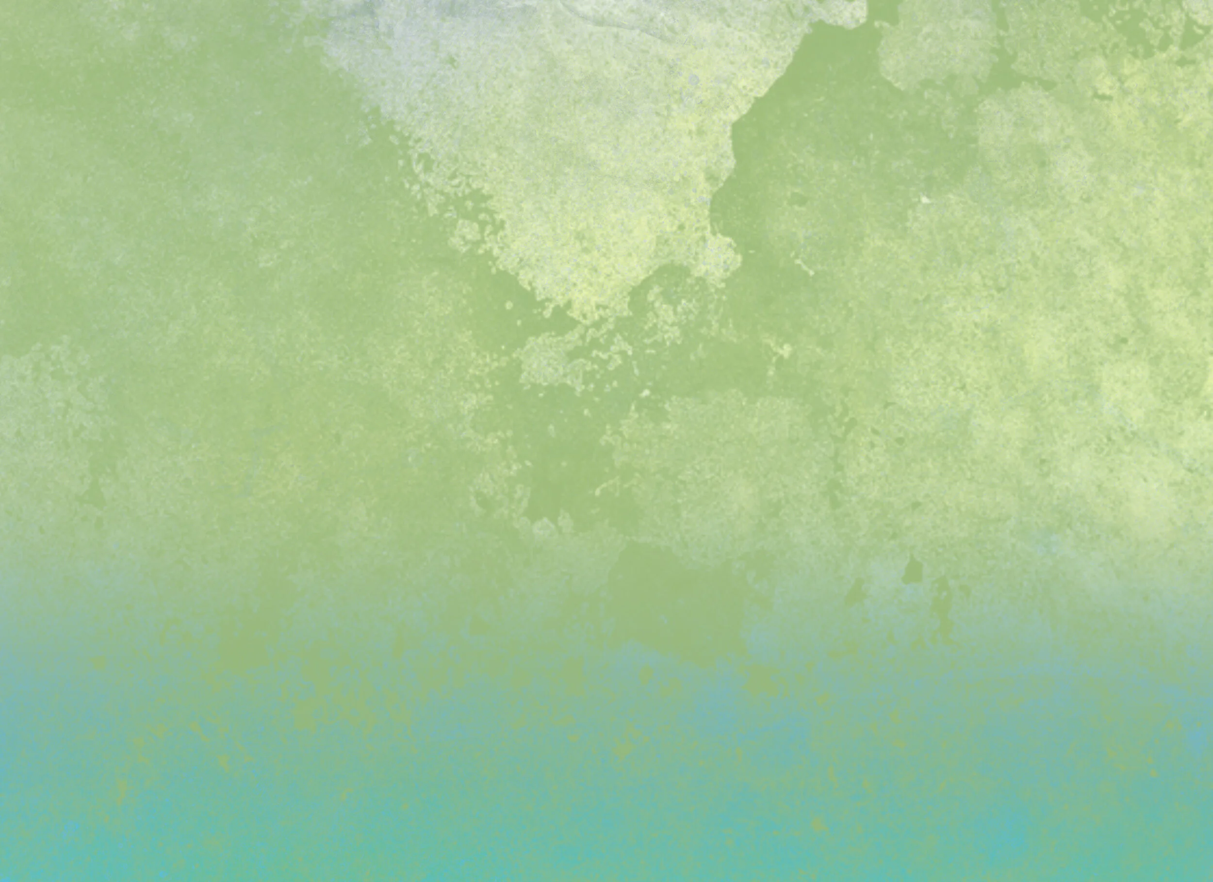 40 The Expressions Texture Collection — Trudy Kepke Fine Art