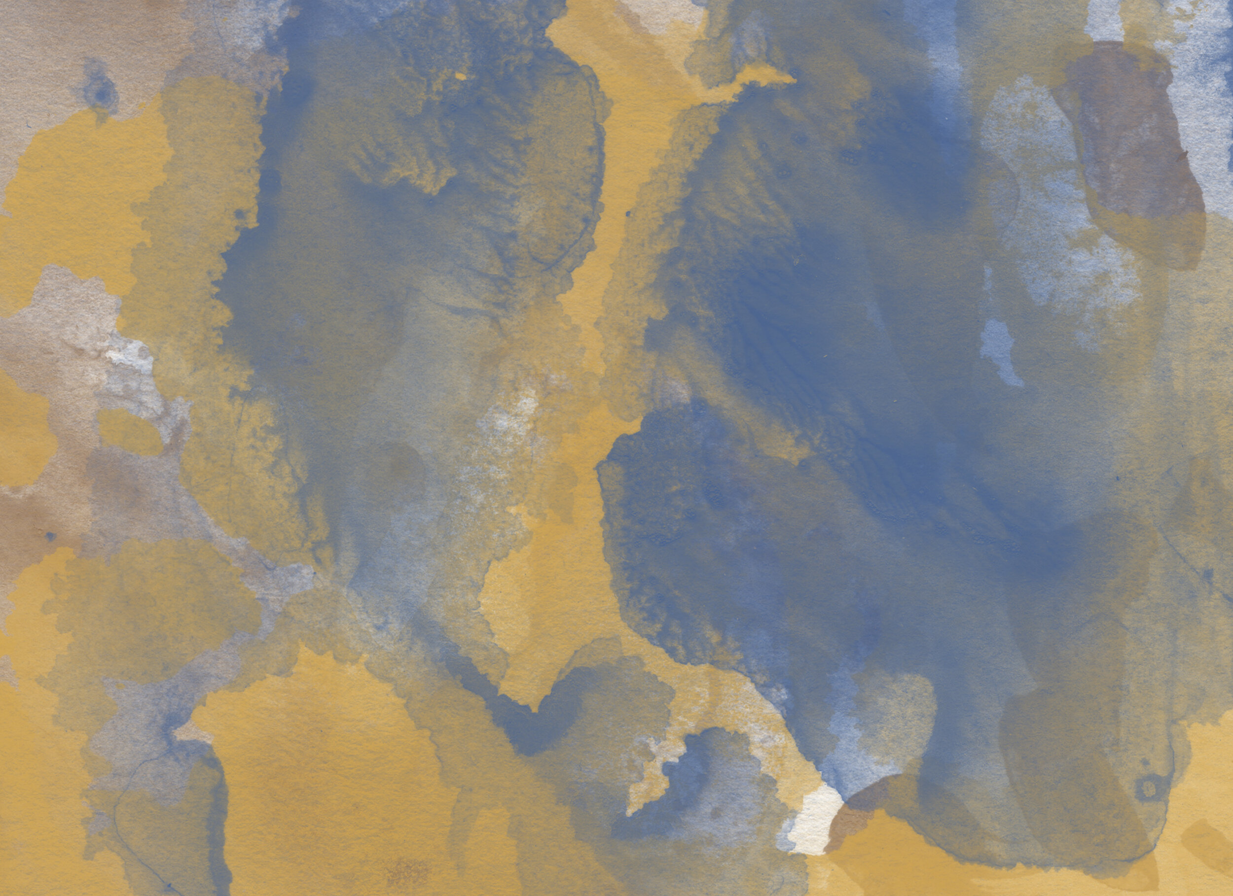 40 The Expressions Texture Collection — Trudy Kepke Fine Art