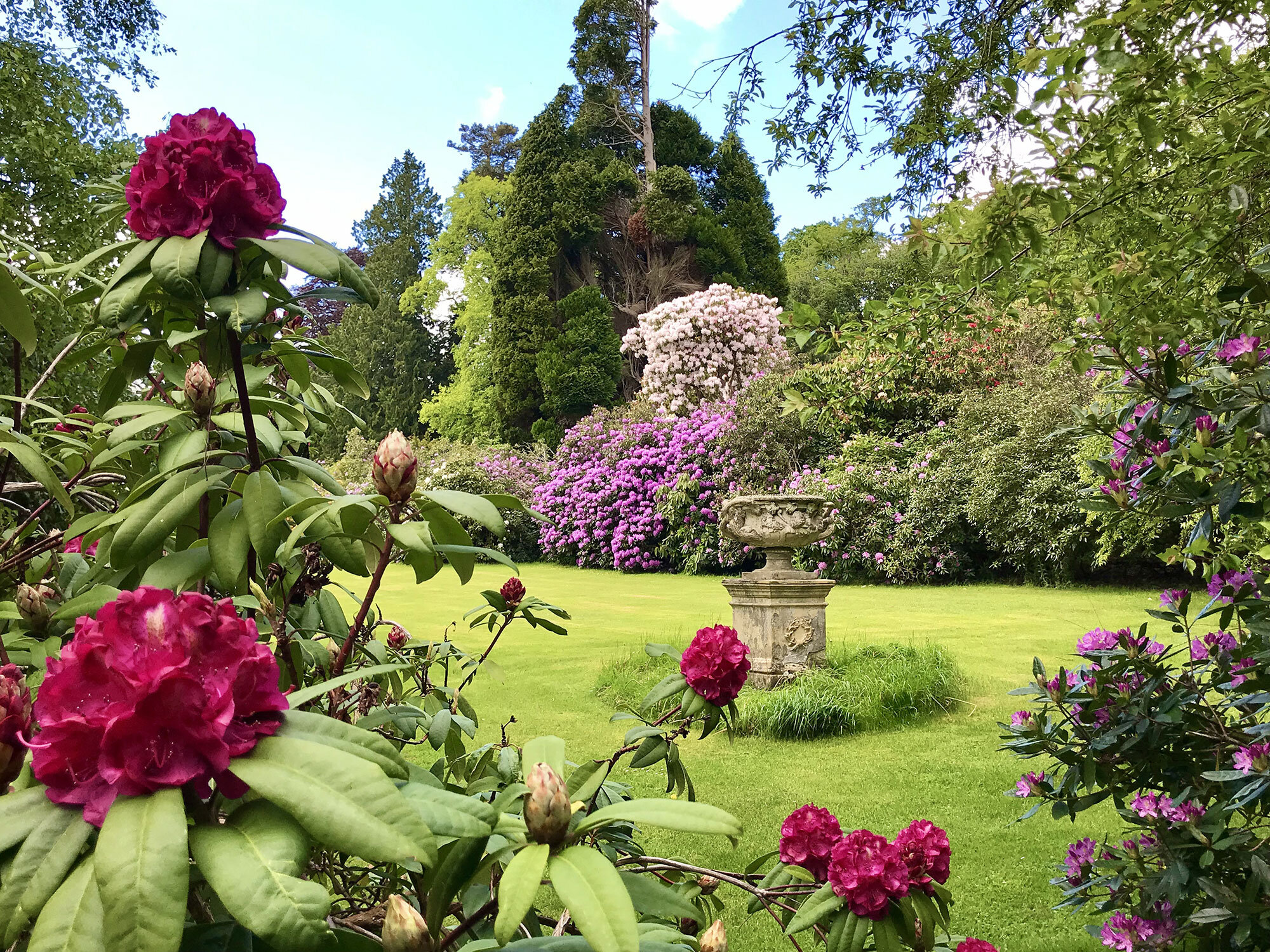 Urn-and-rhododendrons-at-Bodfach---May-2019-rgb.jpg