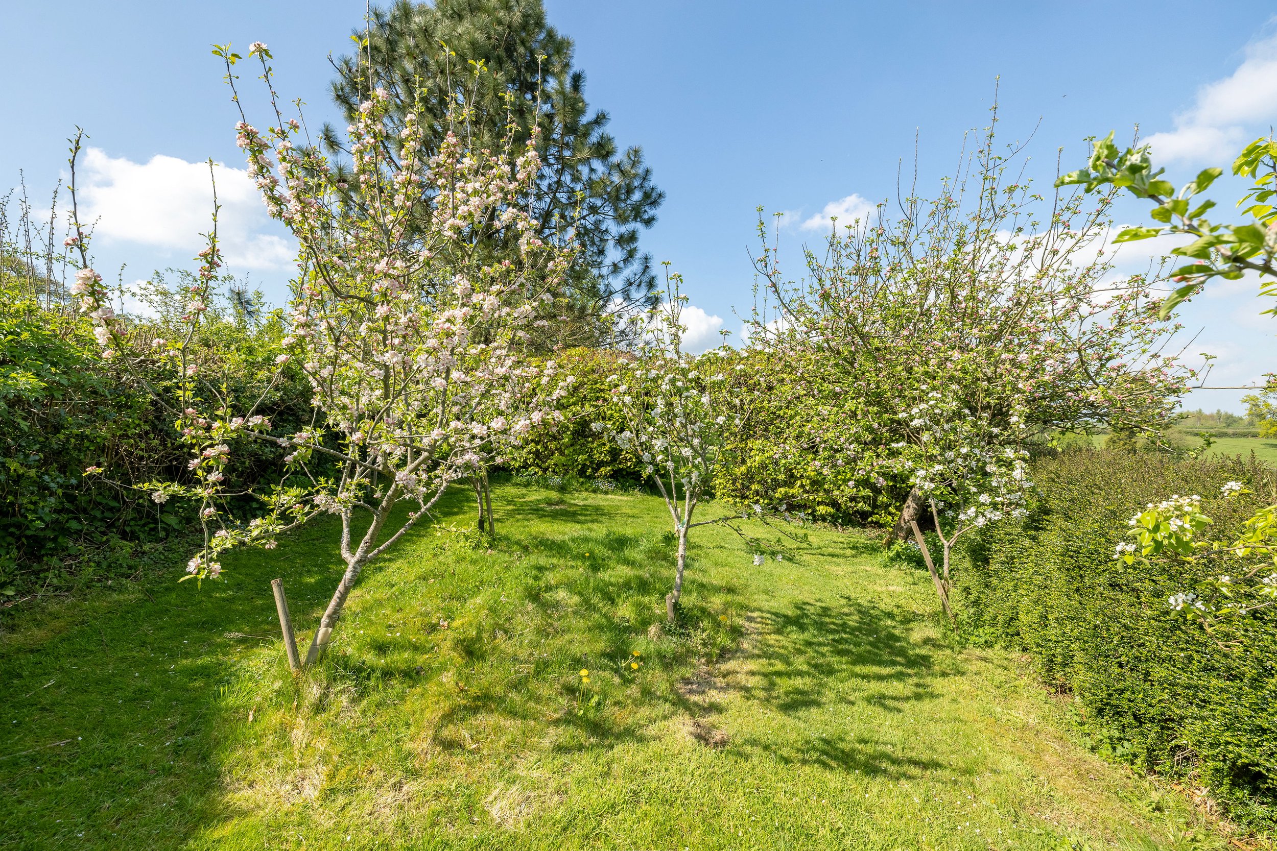 1044HoptonGateBarn-21.jpeg
