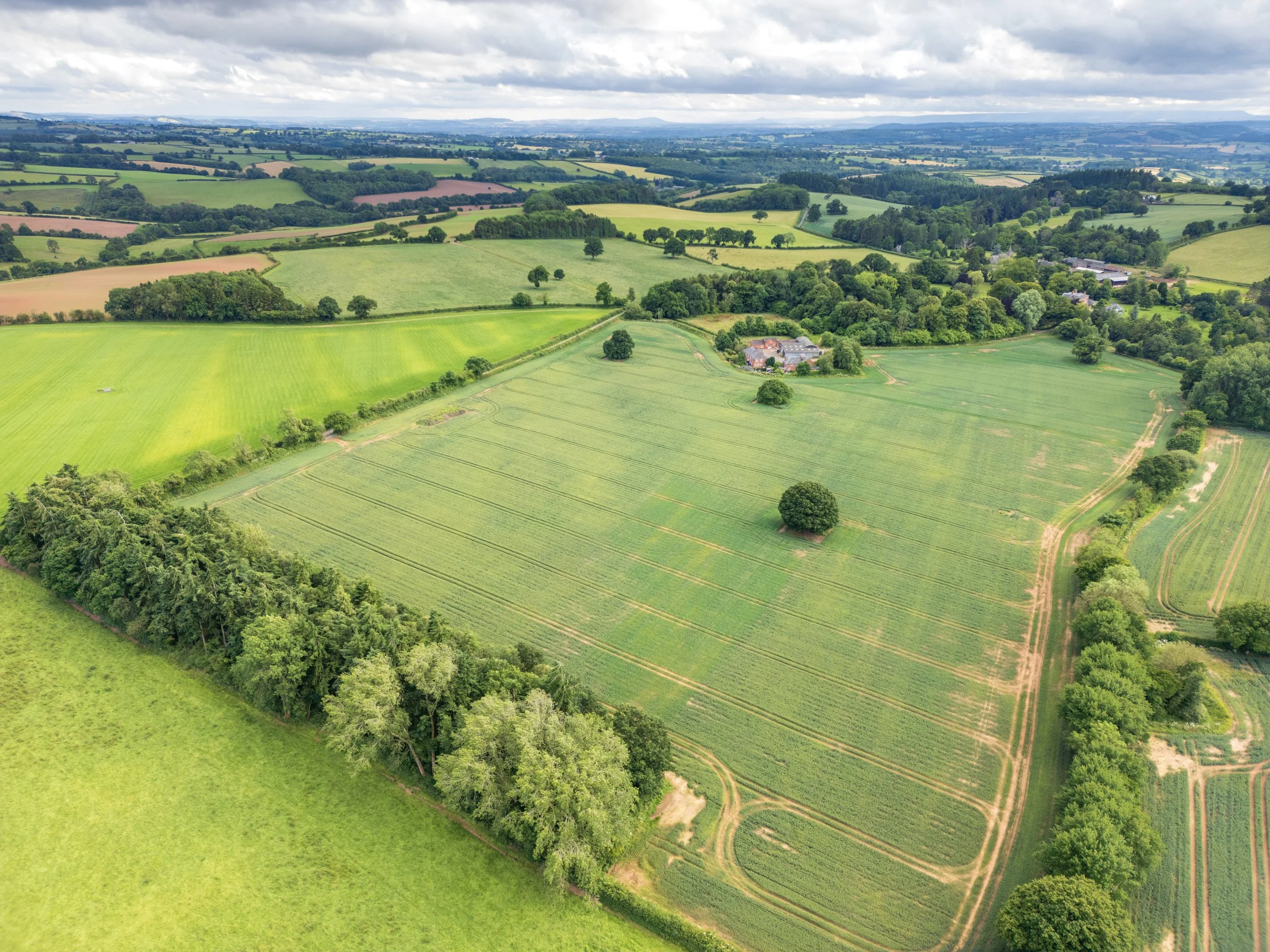 DJI_0366.jpg