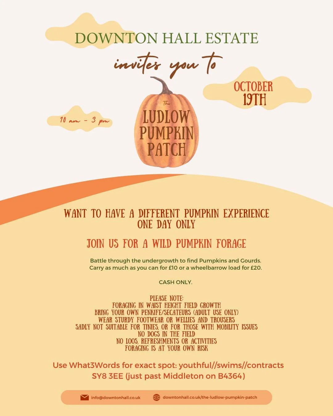 Join @downtonhallestate for a wild pumpkin forage. Battle through the undergrowth to find Pumpkins and Gourds. Carry as much as you can for &pound;10 or a wheelbarrow load for &pound;20 🎃

October 19th - 10am - 3pm

More information can be found at 