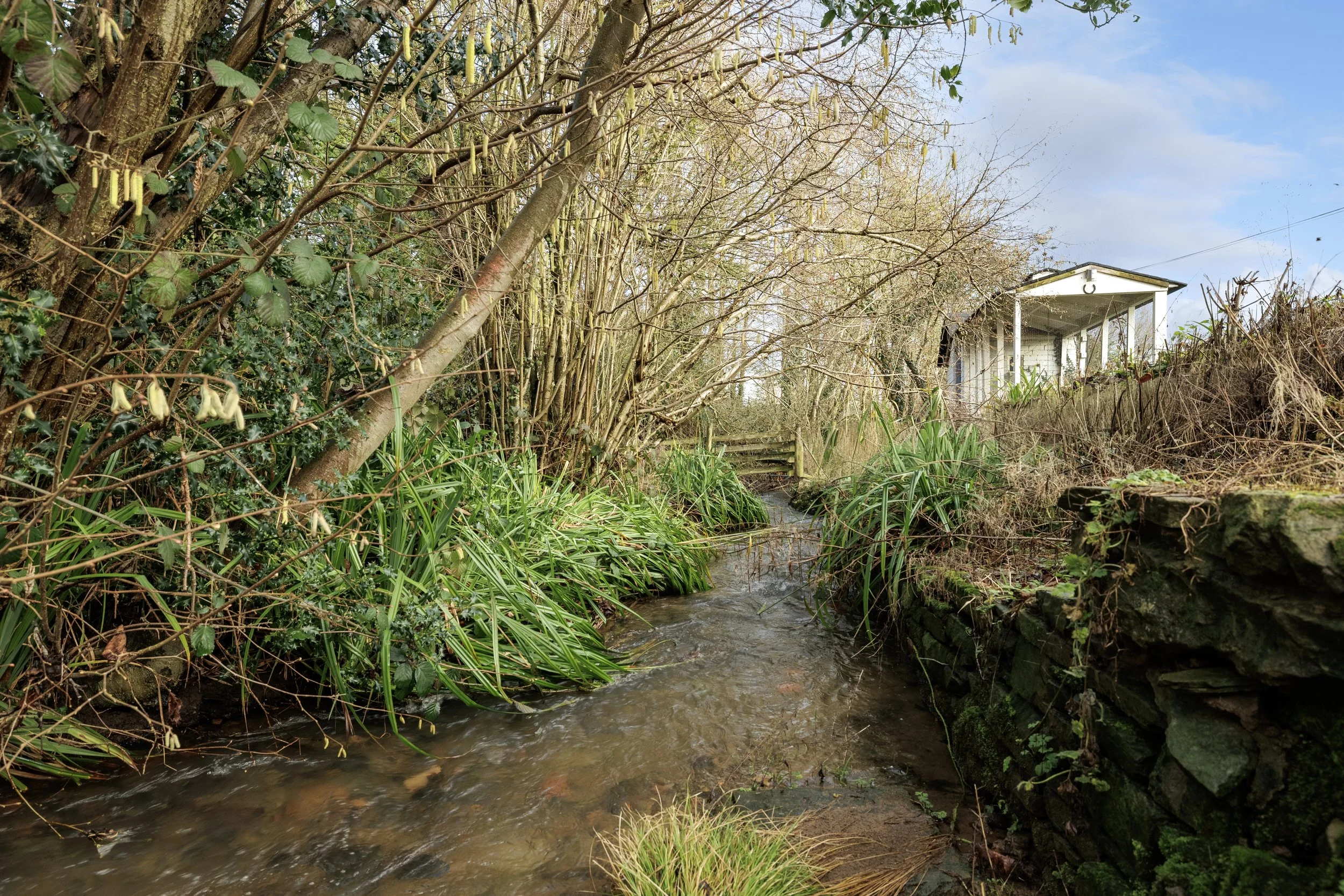 18_mw2026-05-brook house-38.jpg