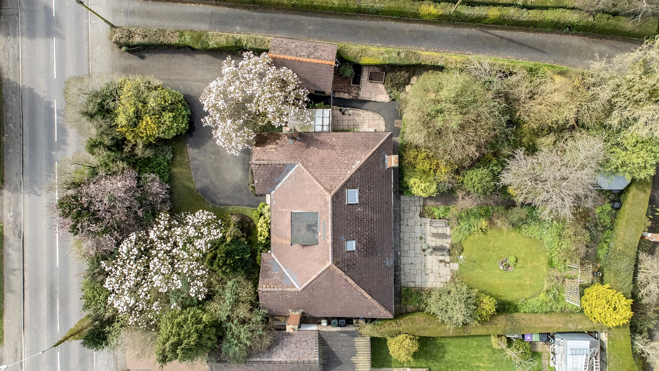 mw2026-17-the magnolias-04.jpg