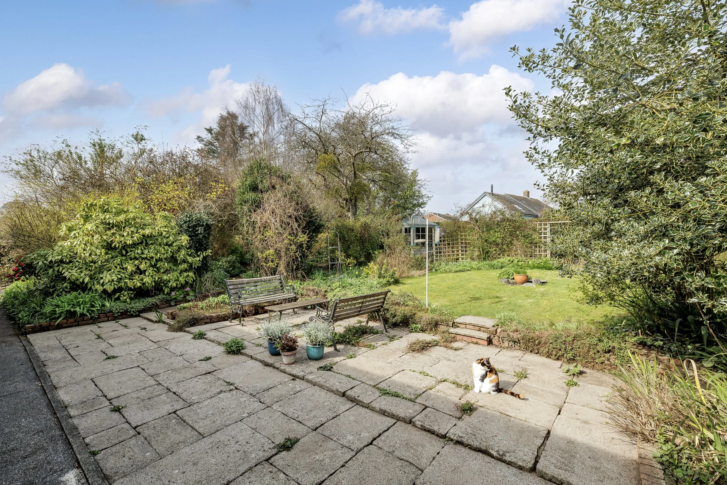 mw2026-17-the magnolias-05.jpg