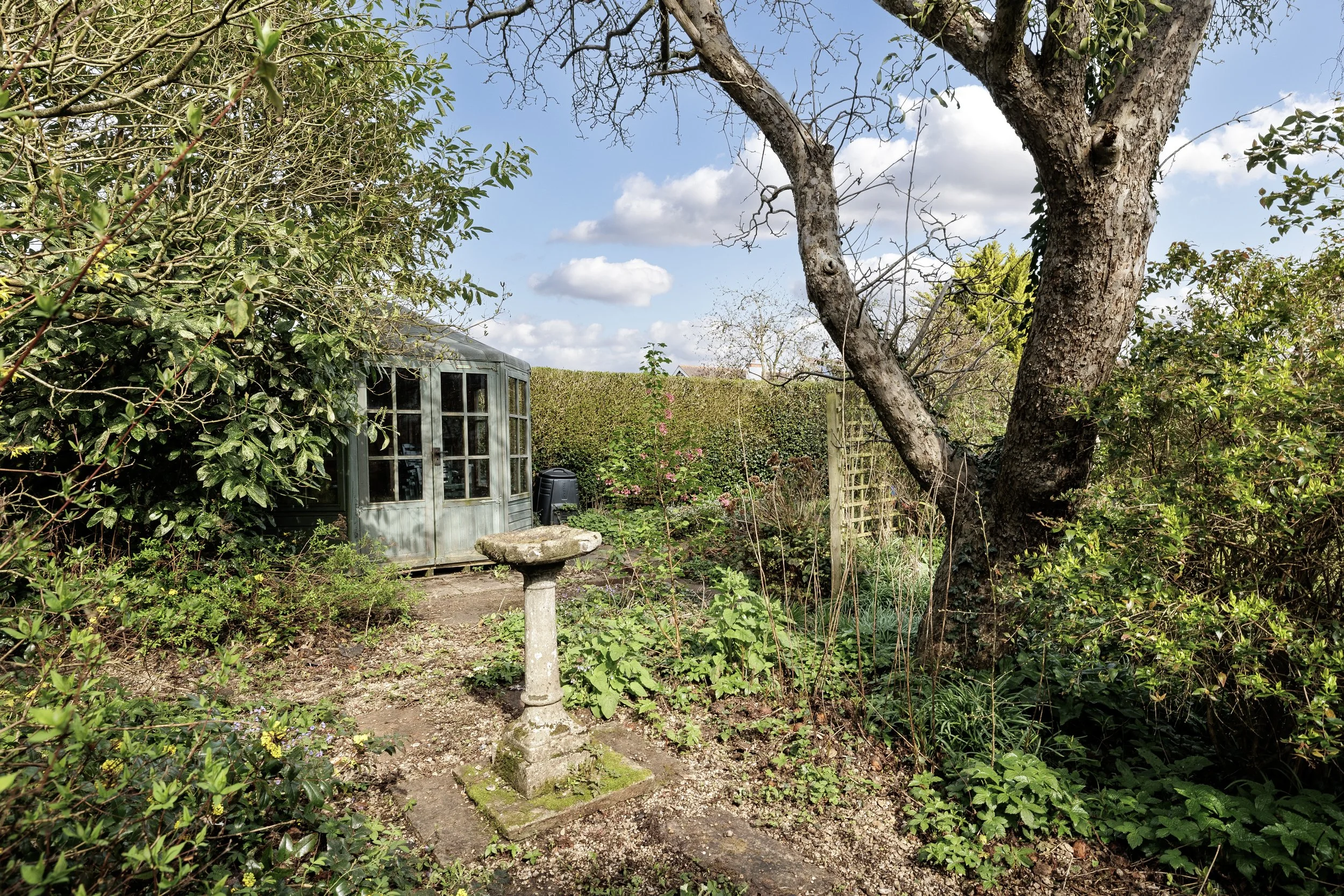 mw2026-17-the magnolias-09.jpg