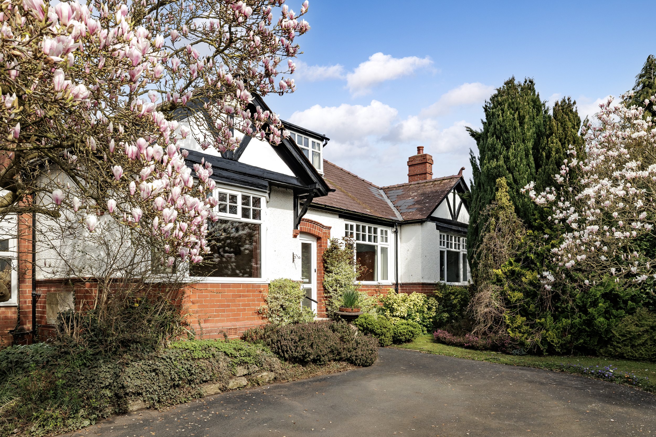 mw2026-17-the magnolias-13.jpg