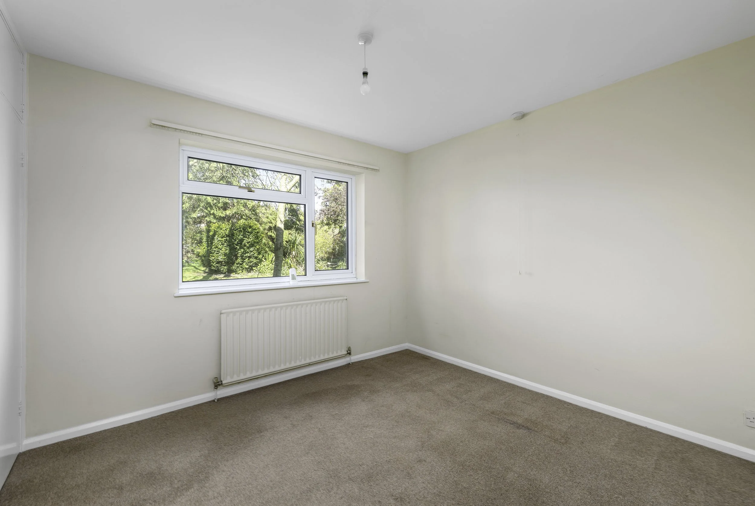 mw2026-23-roman view-25.jpg