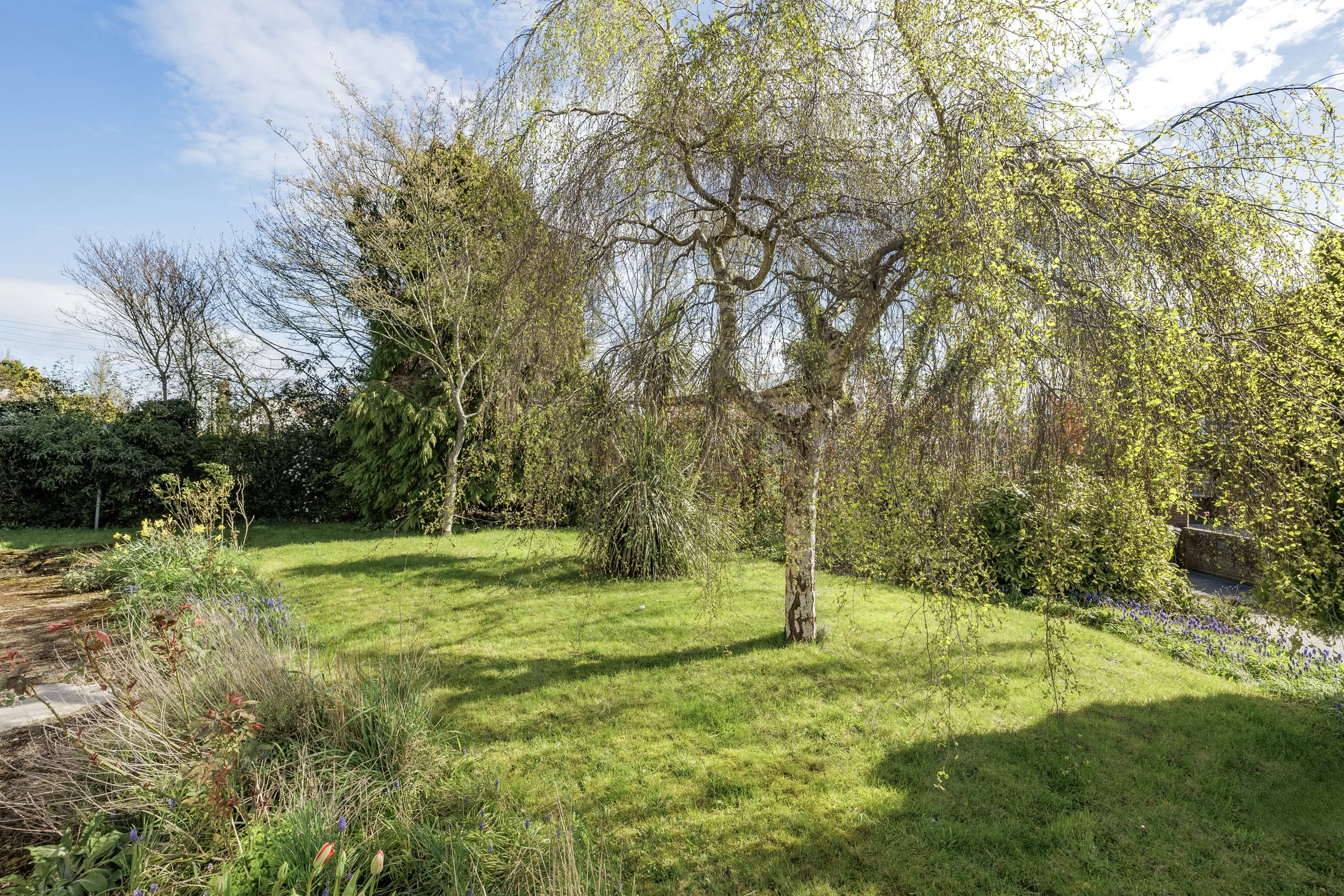 mw2026-23-roman view-08.jpg