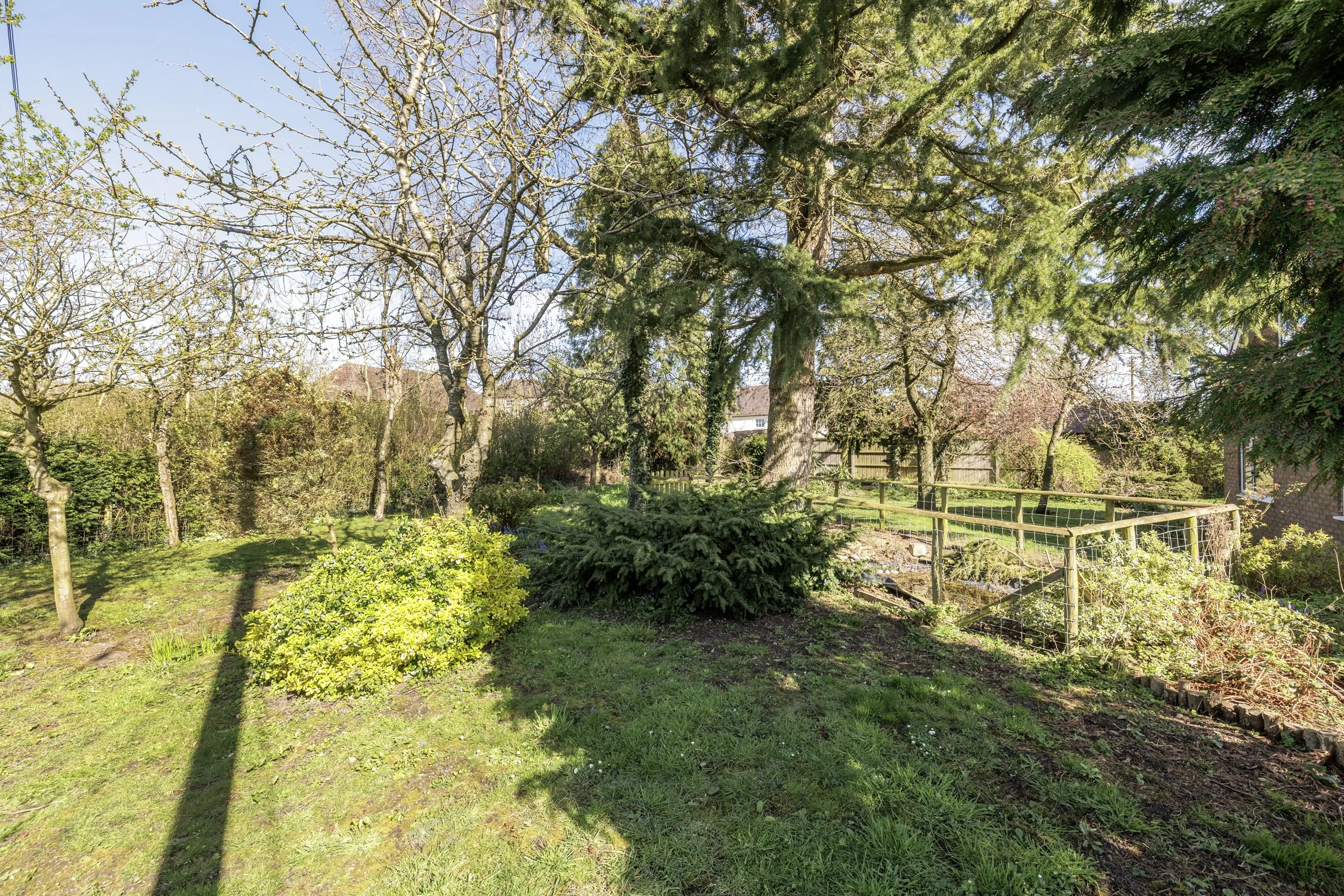 mw2026-23-roman view-11.jpg