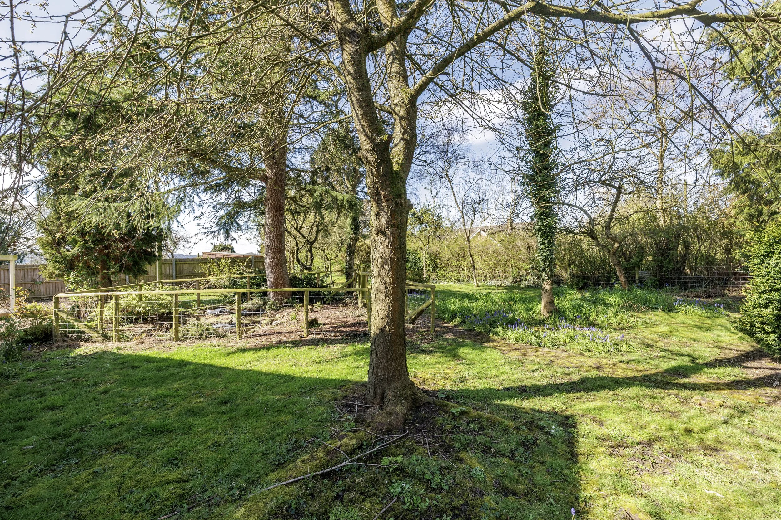 mw2026-23-roman view-12.jpg