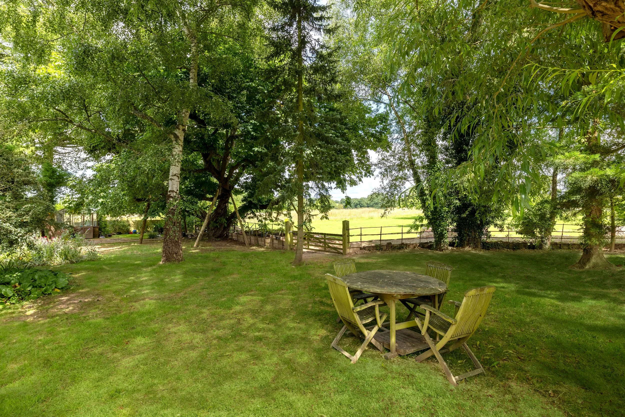 garden 1.jpg