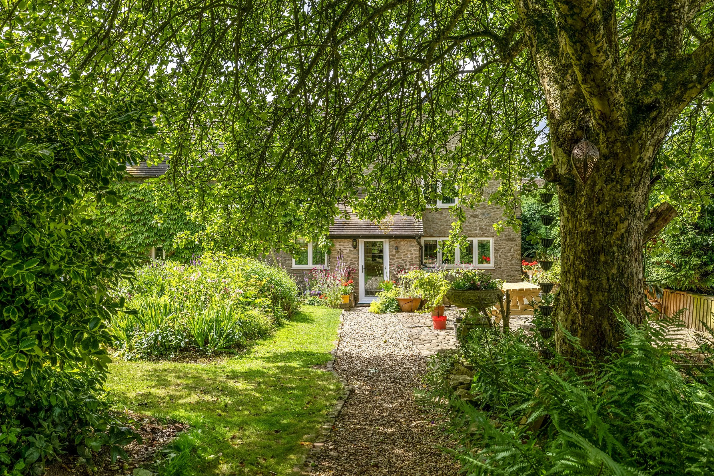garden 2.jpg
