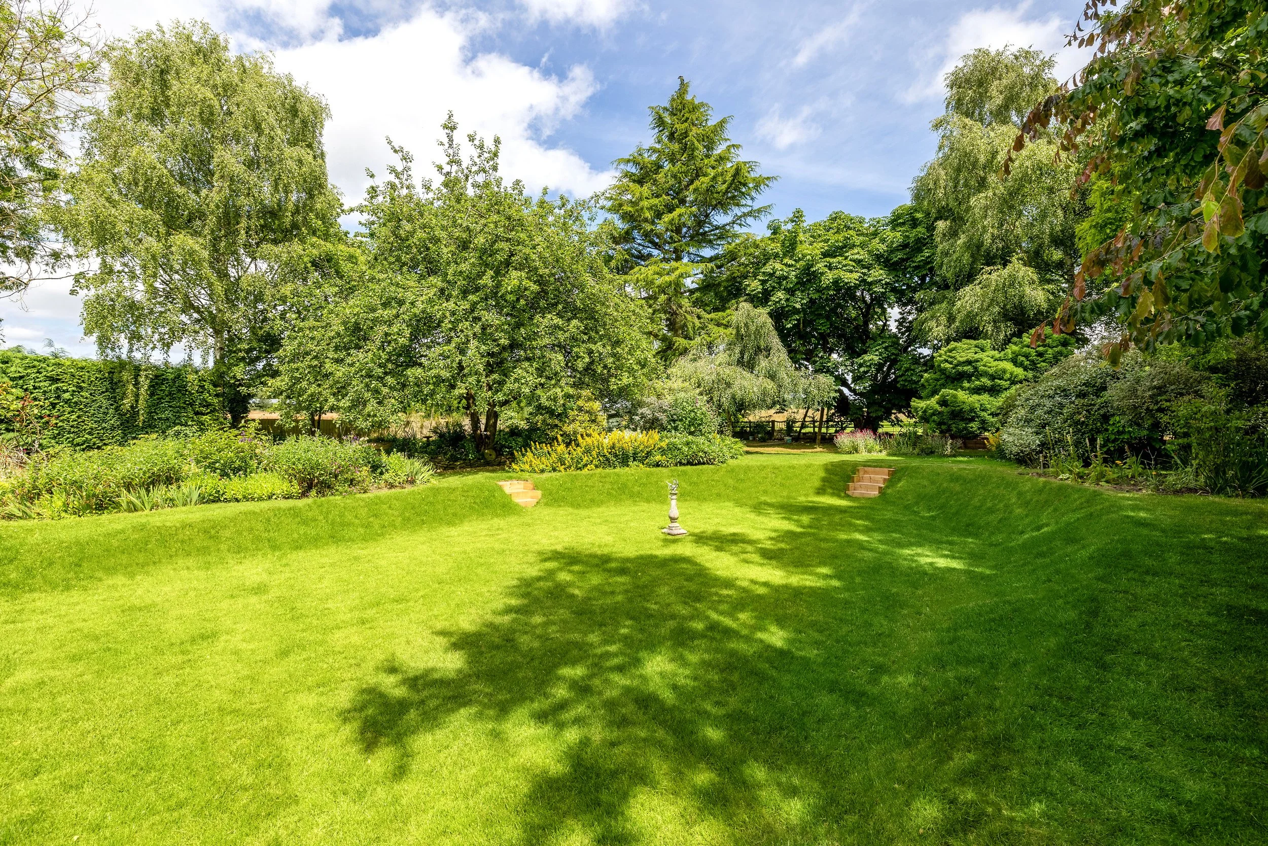 garden 6.jpg