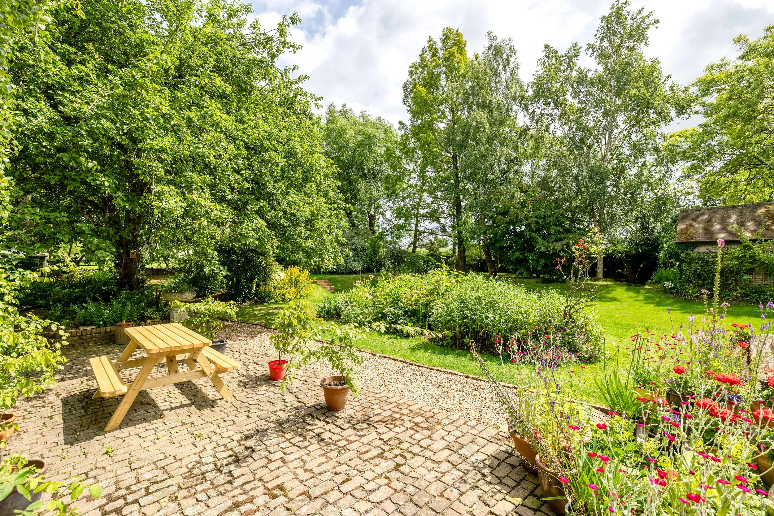 garden 7.jpg