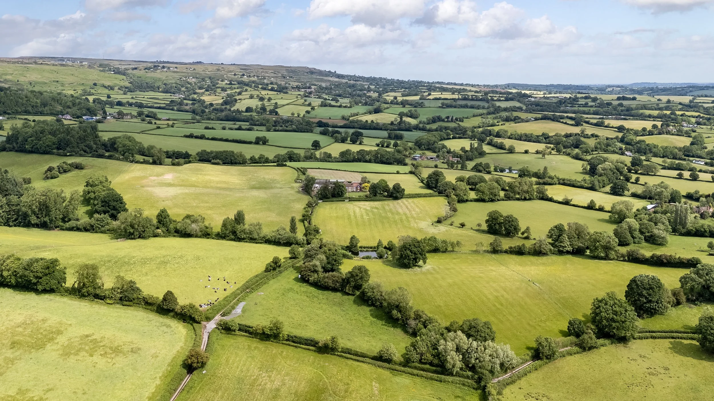 1105 shear farm-07.jpeg