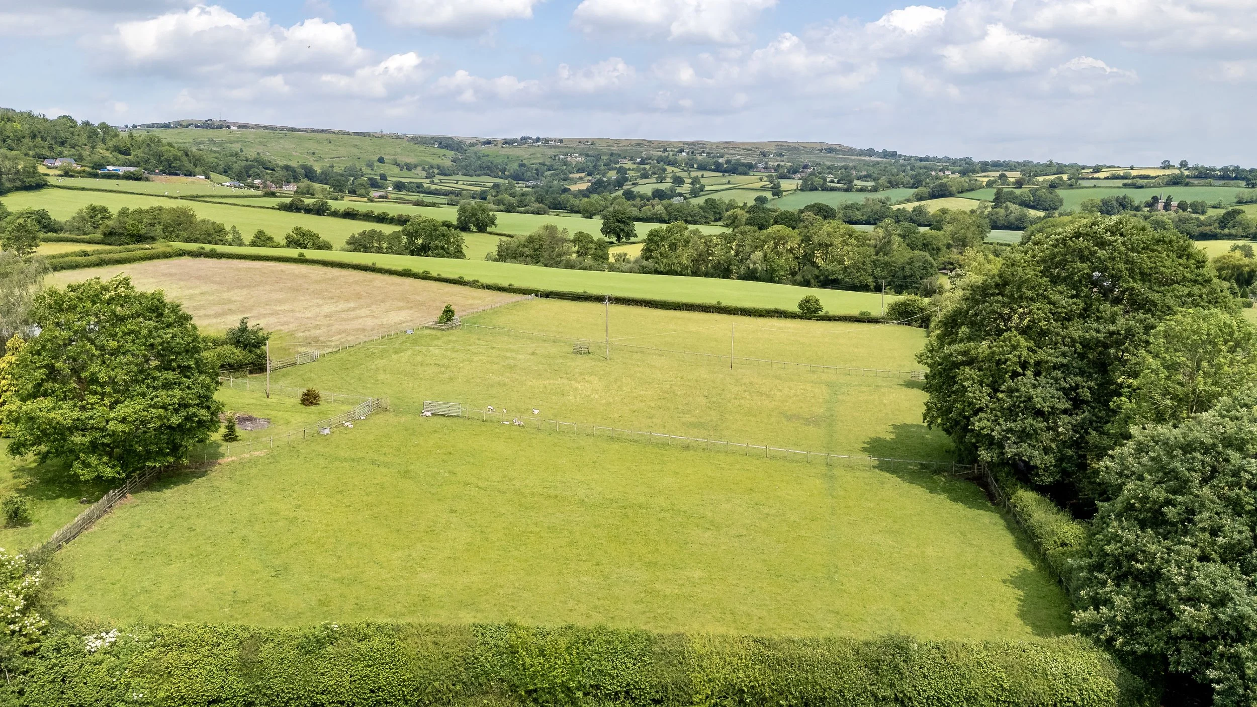 1105 shear farm-17.jpeg