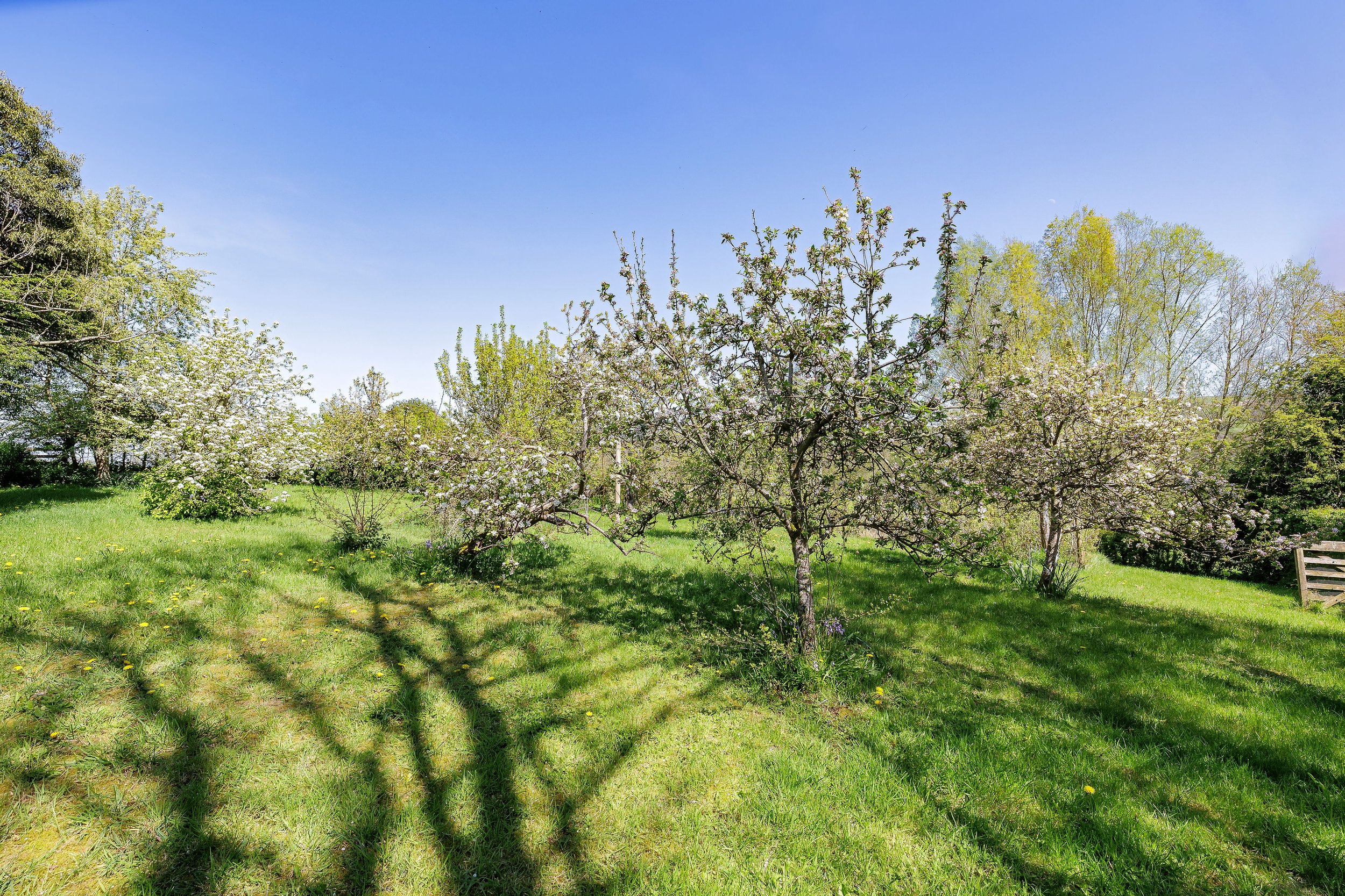MW2026-33-BroadwardBridge-23.jpg