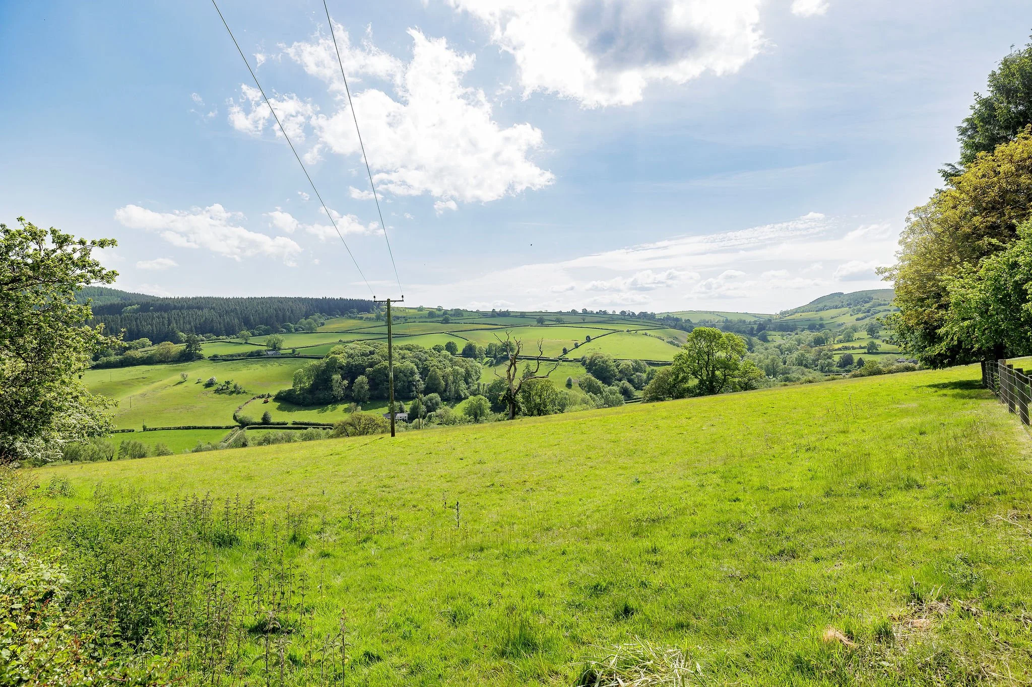 MW2026-29-Revisit-LlanFarmhouse-19.jpg