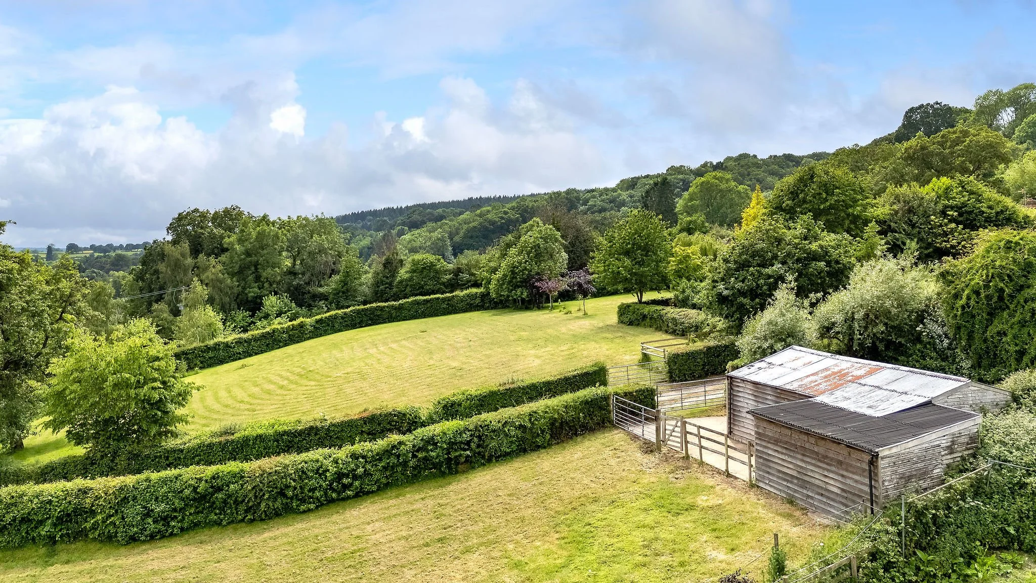 MW2026-44-CullisCroft-12.jpg