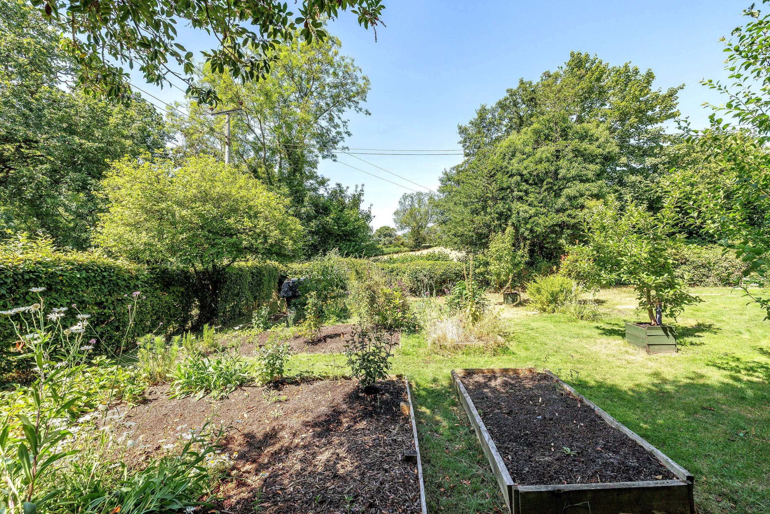 MW2026-56-1RosedaleCottages-013.jpg