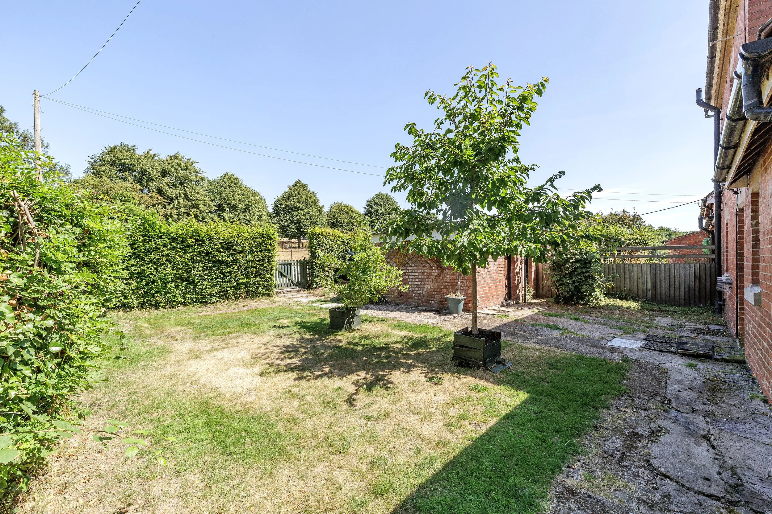 MW2026-56-1RosedaleCottages-015.jpg