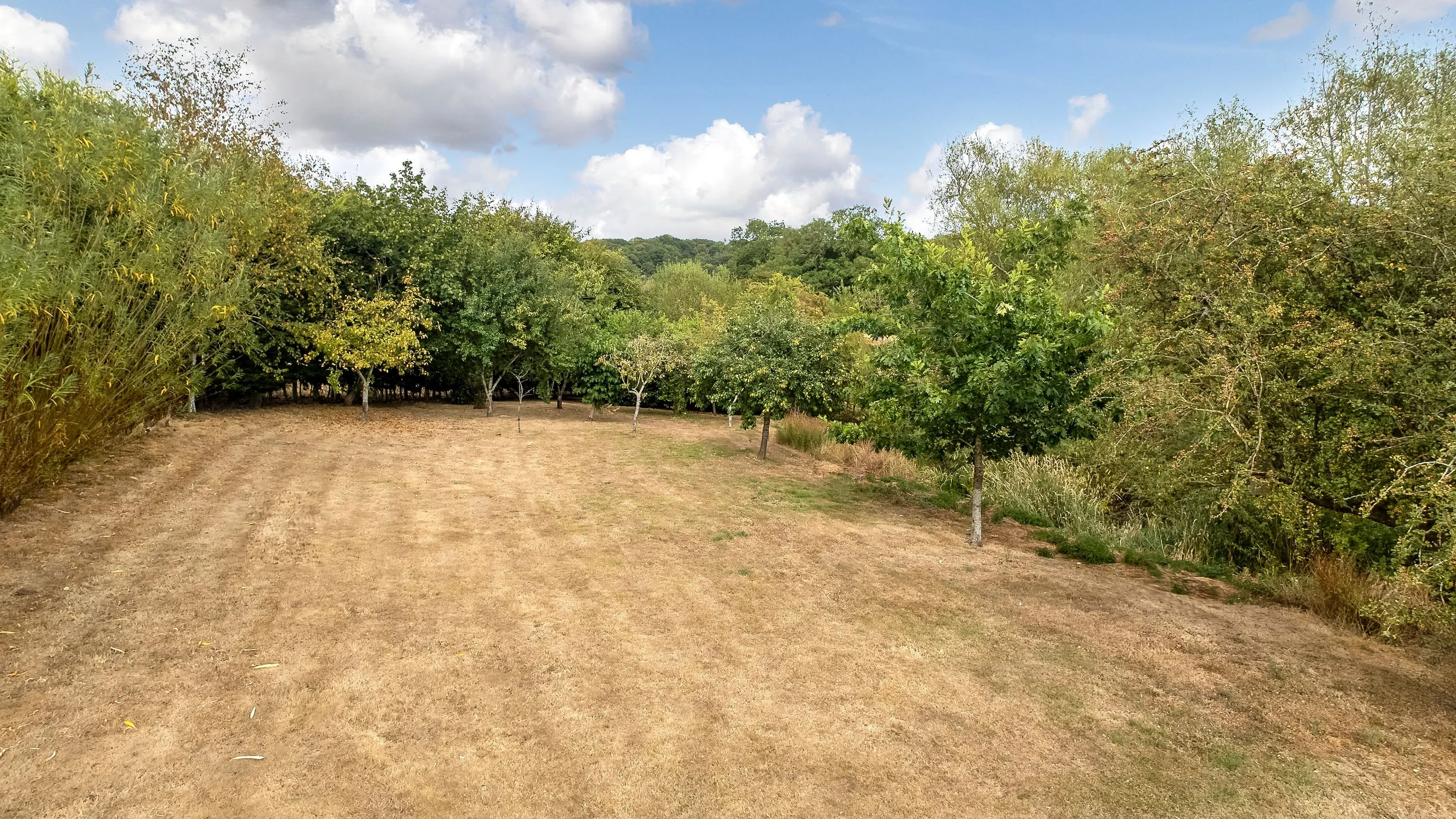 MW2026-64-TheOldHayBarn-011.jpg
