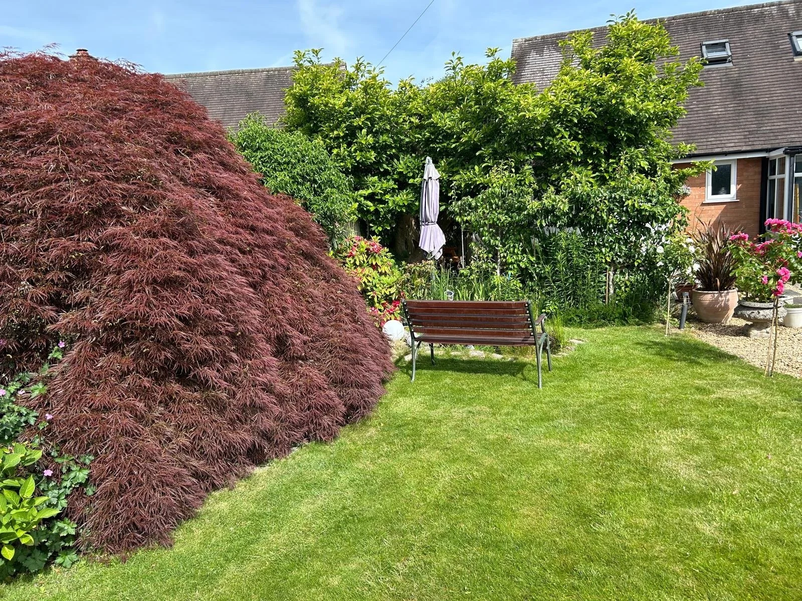 Use lawn.jpg