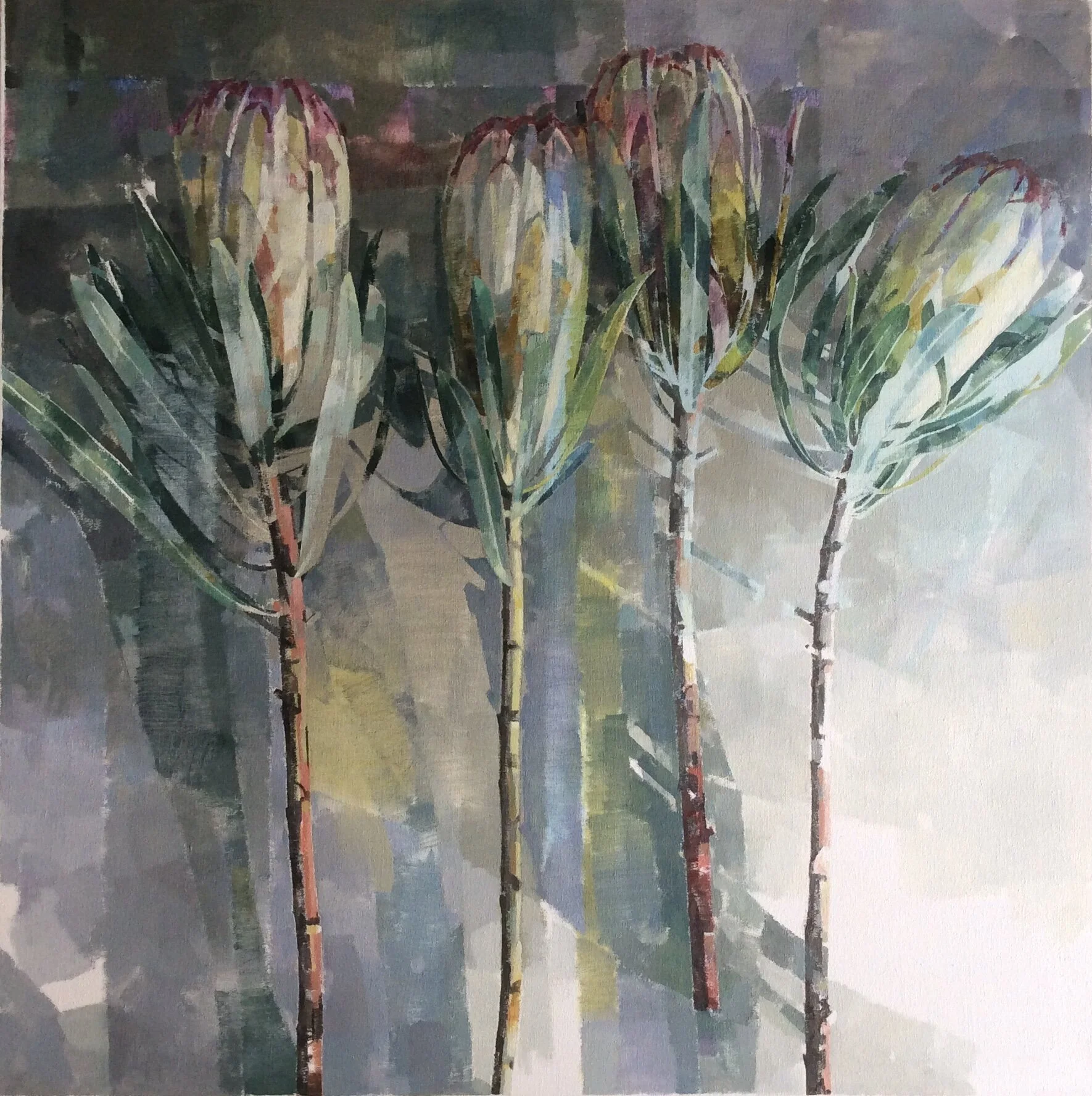 proteas on the floor  90cm x 80cm  2016