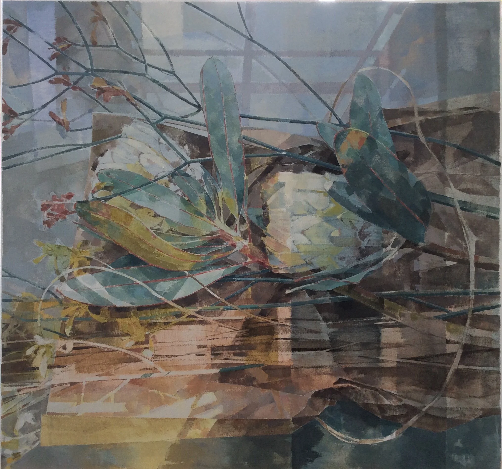 white proteas brown paper  85cm x 90cm  2015