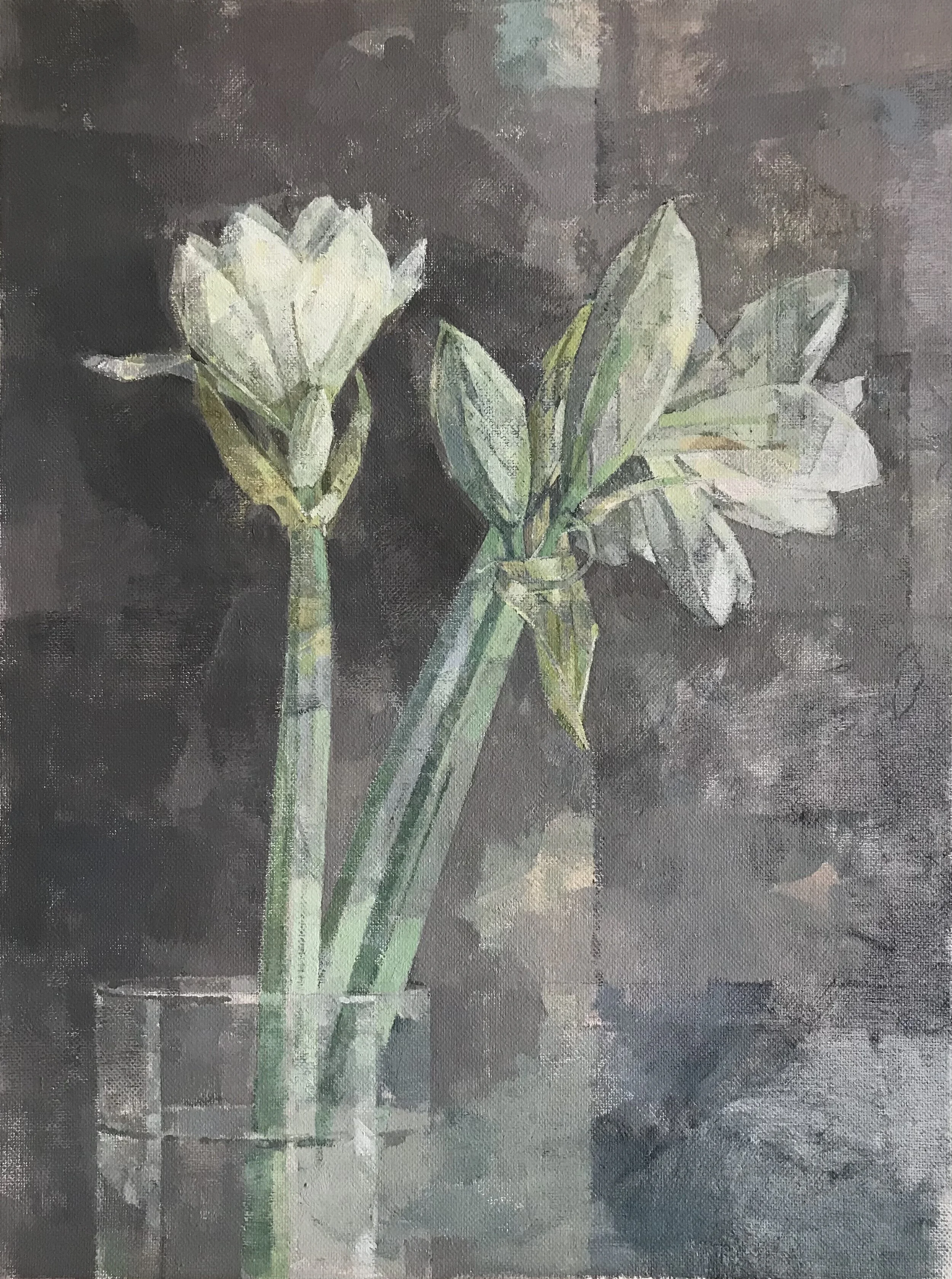 white amaryllis  40.5cm x 30.5cm  2021
