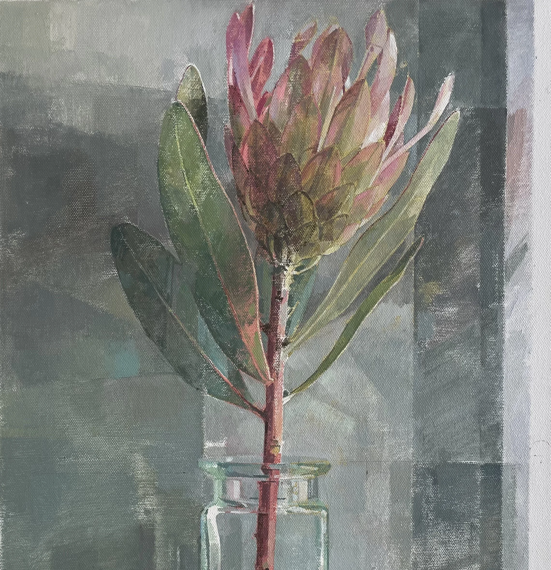 knysna protea thumbnail.jpeg