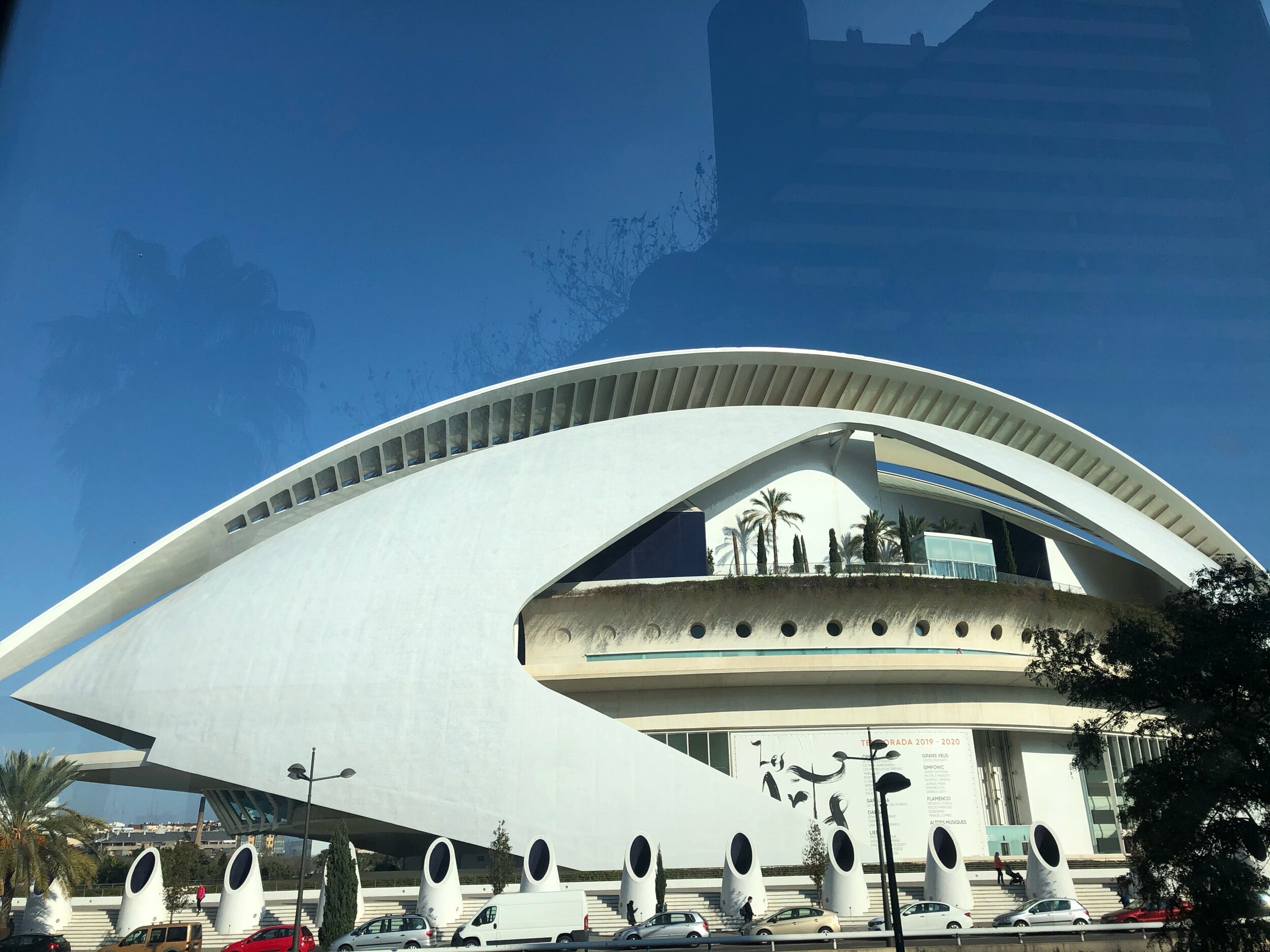 IMG_9019.jpeg