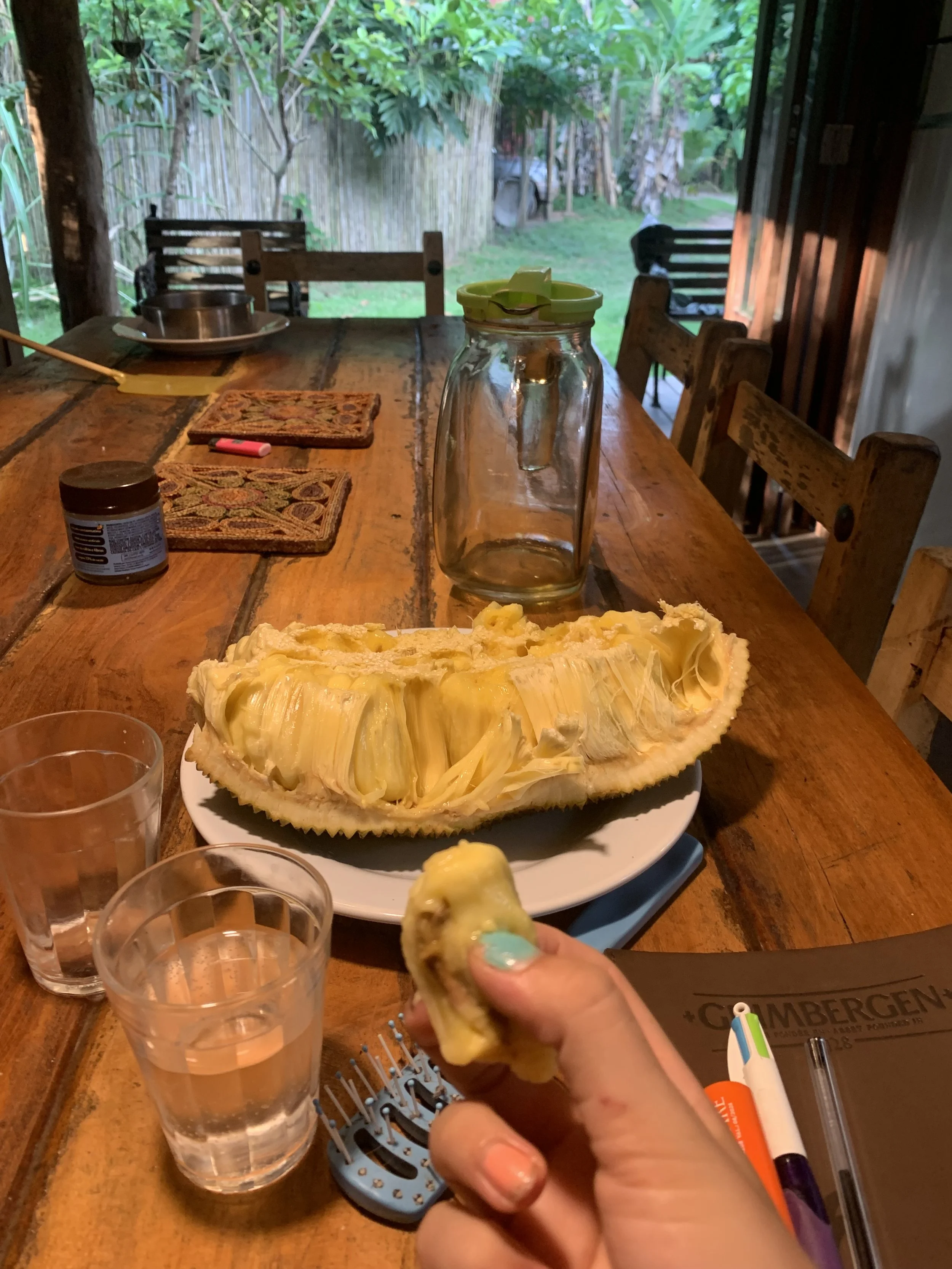 IMG_2177.jpeg