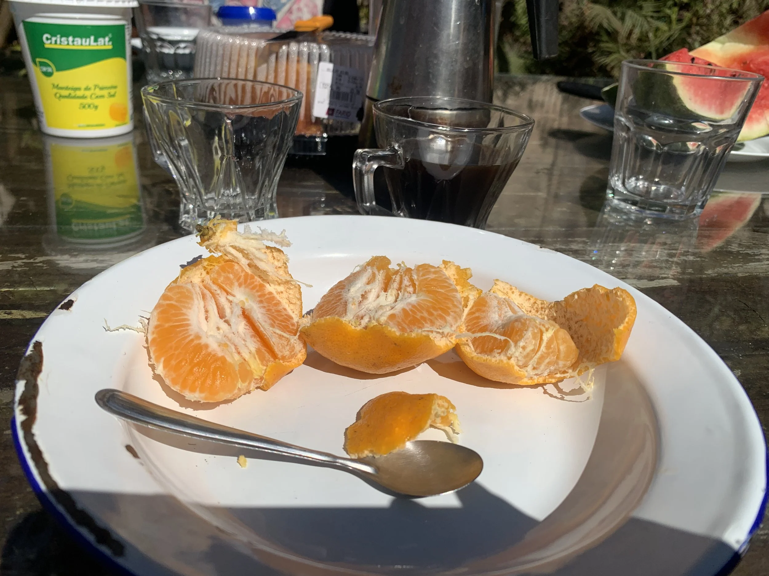 IMG_7341.jpeg