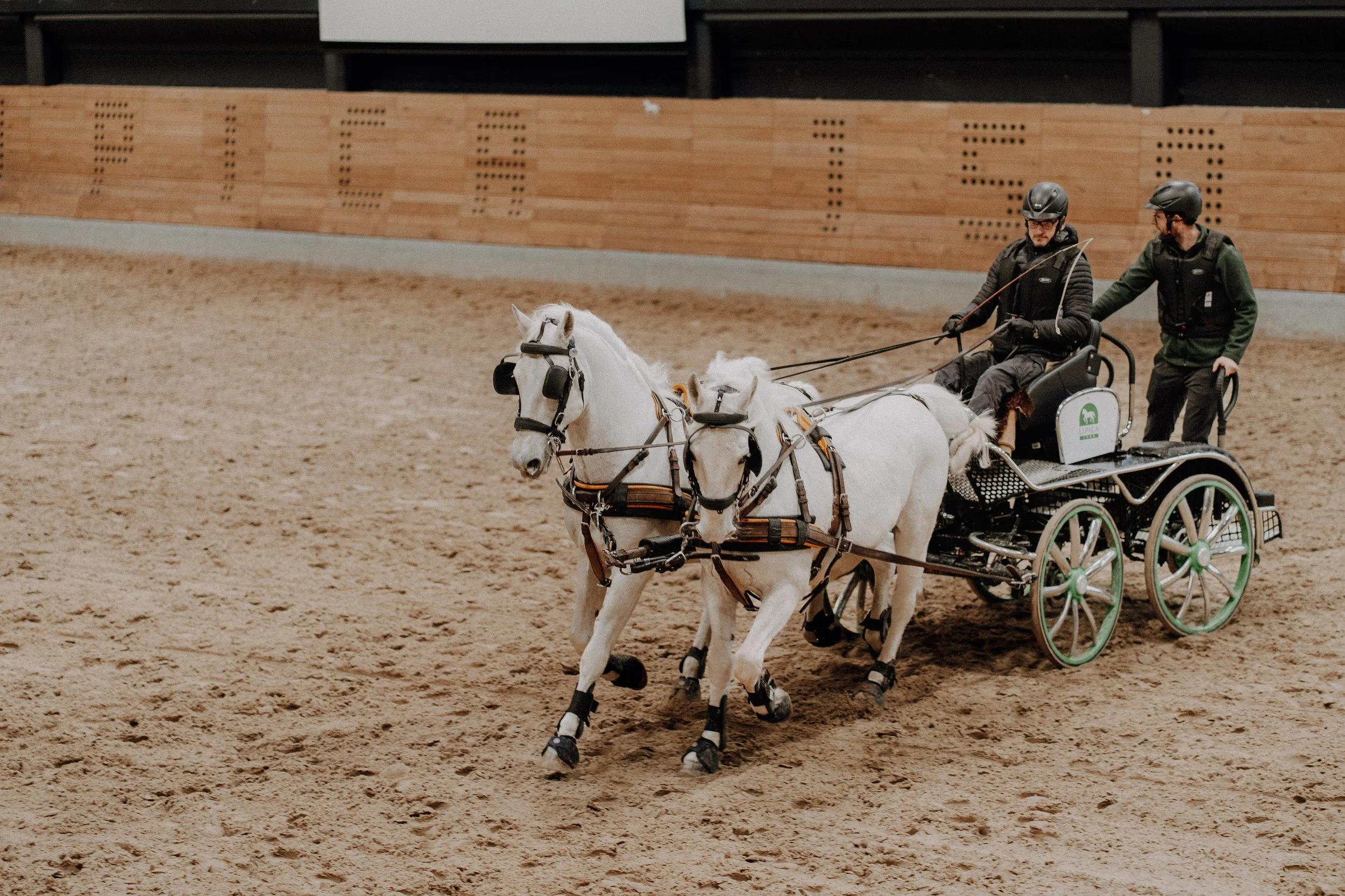 Fotografiranje kulturnih dogodkov Lipica