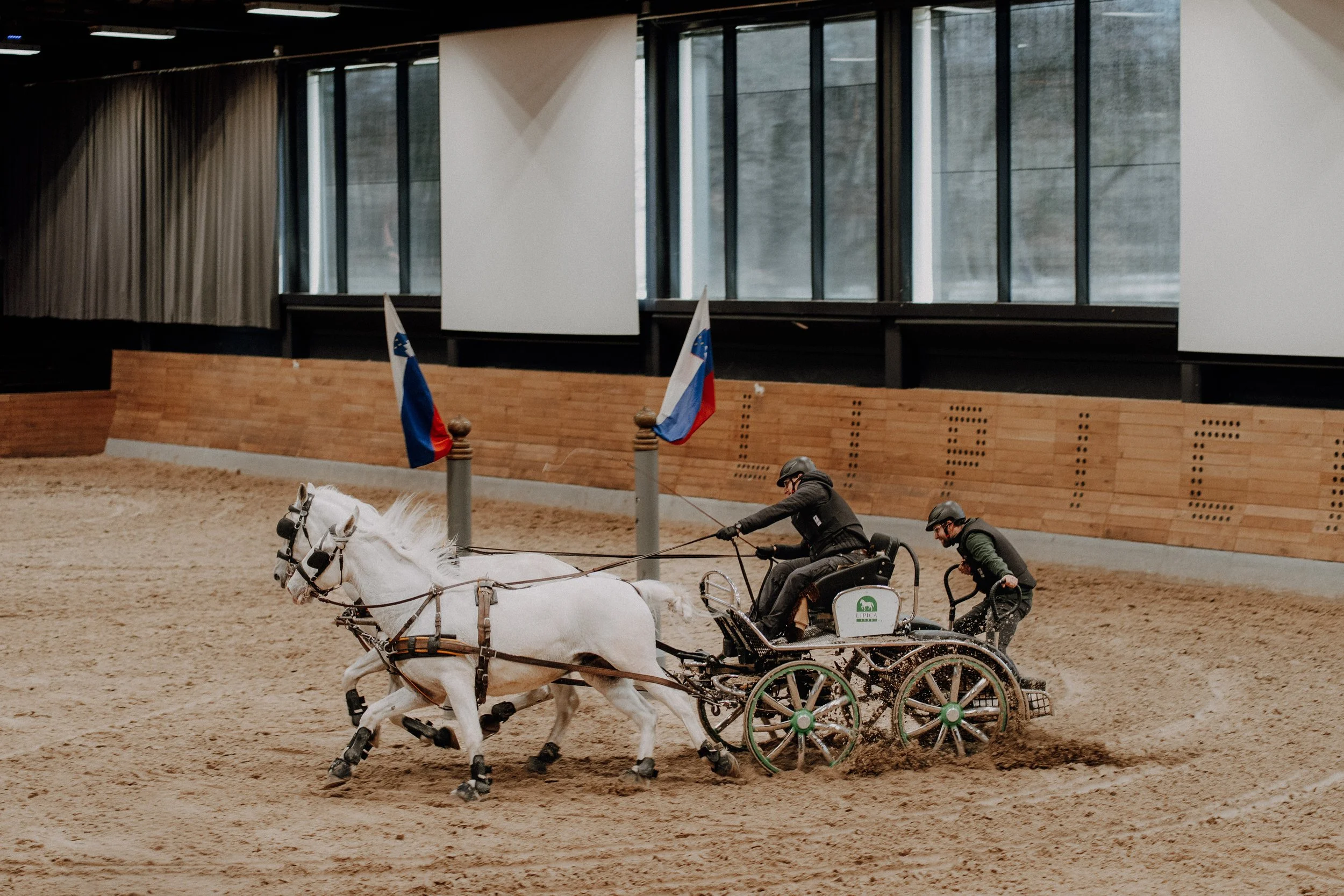 Fotografiranje dogodkov Lipica