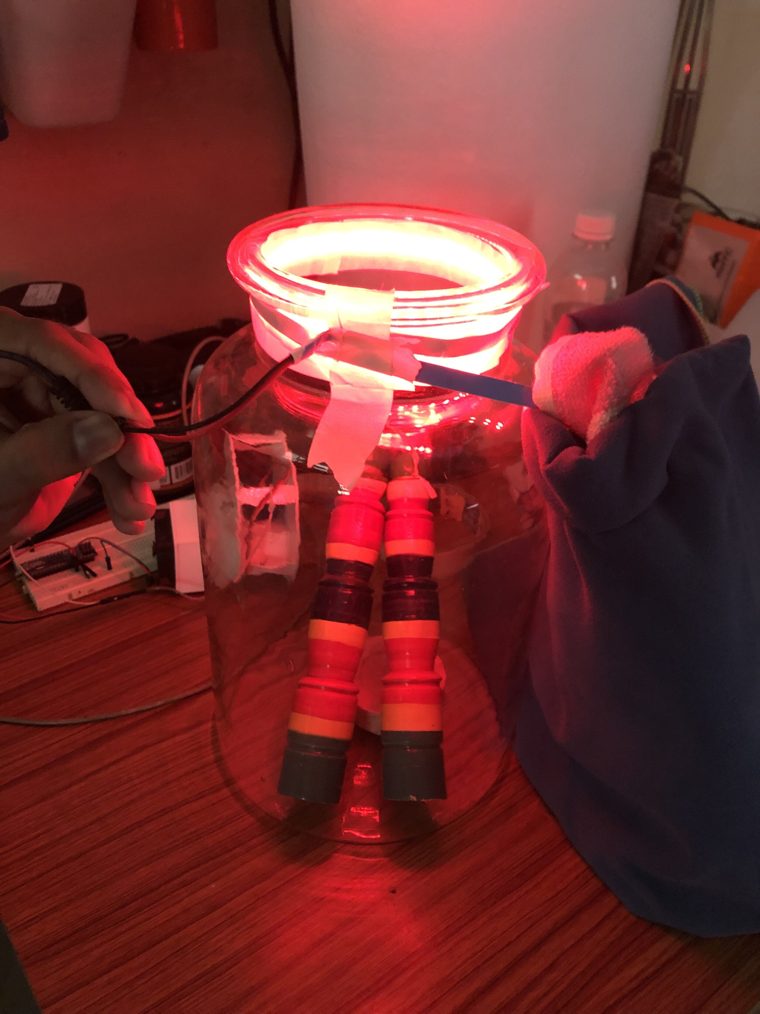 IMG_0431.jpeg
