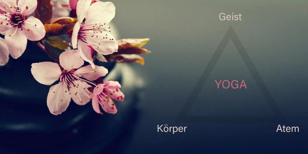 moderne zertifizierte Yoga Ausbildung von den Krankenkassen anerkannt