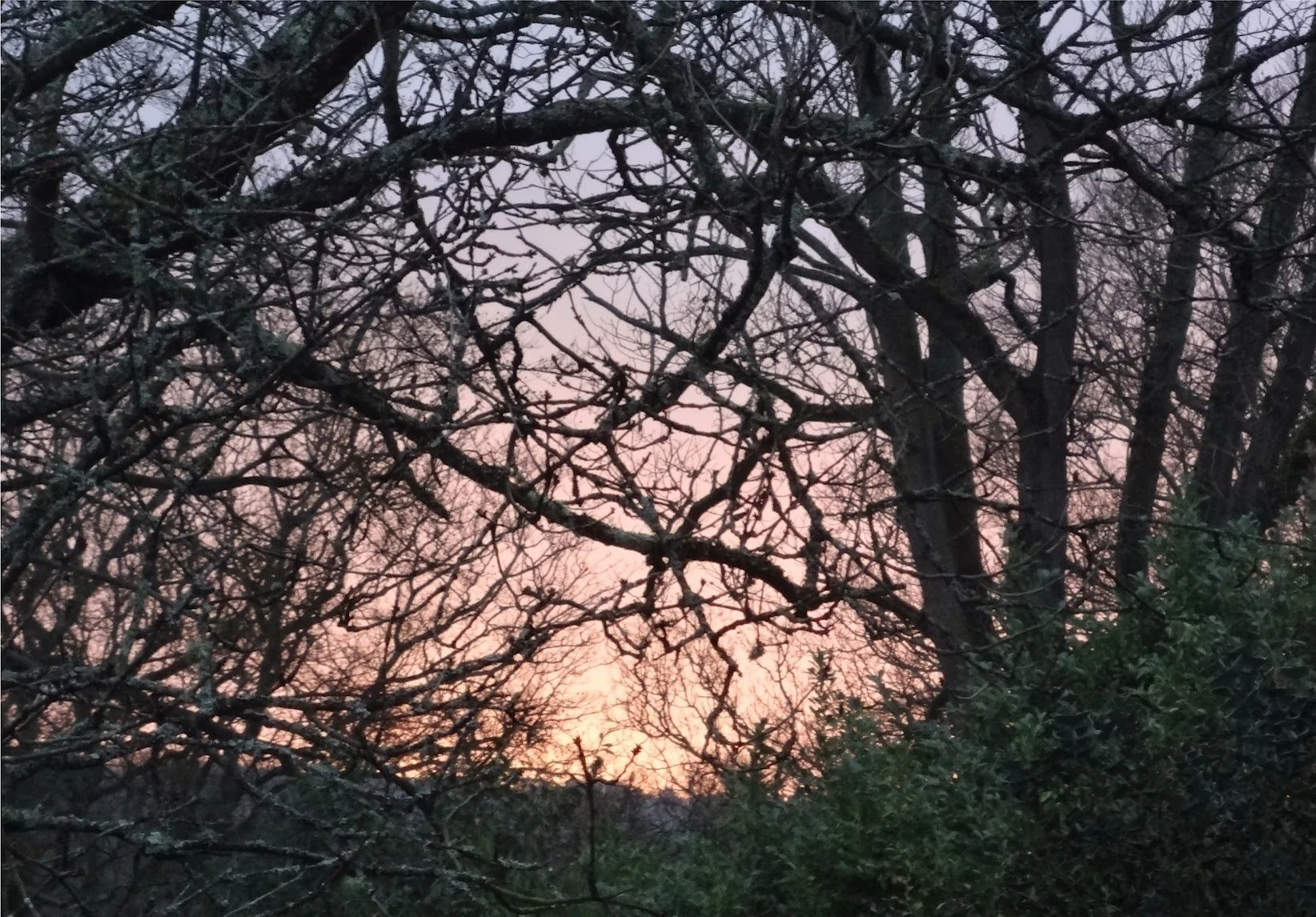 Sunset Fintry 2 Feb 2015.jpg