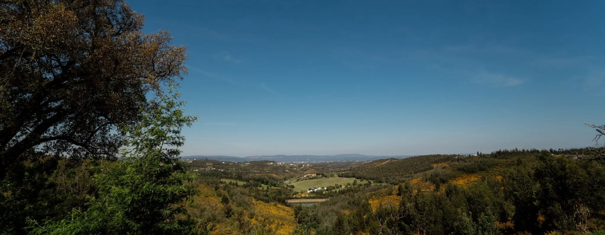 Vumba_Landscape_16-e1693238517900.jpg