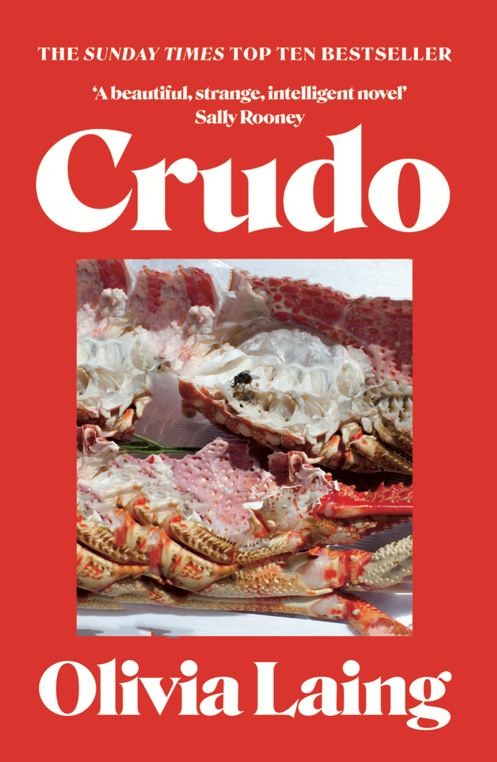 Crudo by Olivia Laing