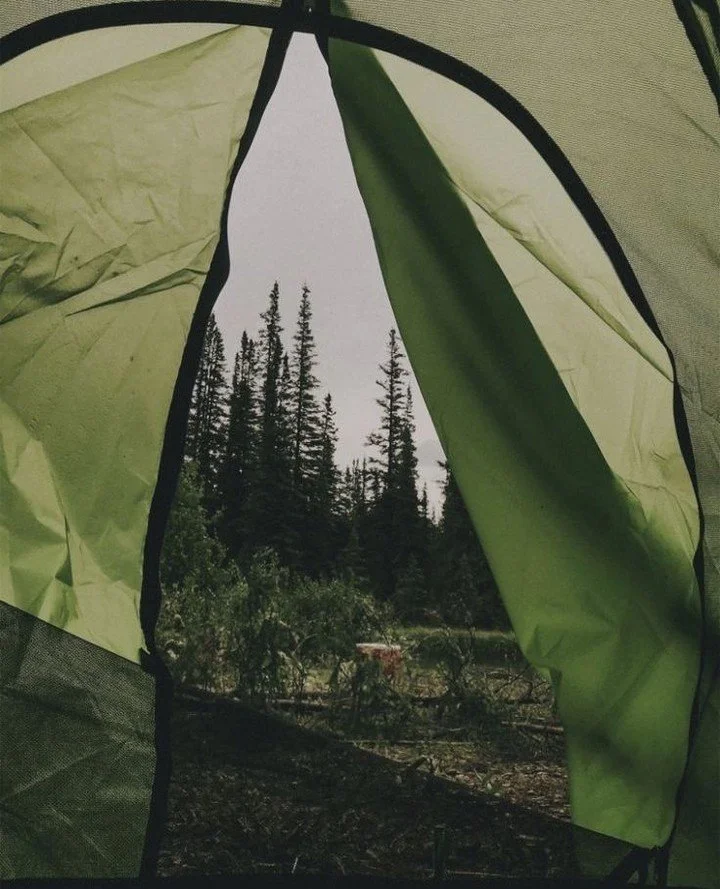 ✨ Setting up camp is part of the magic at Ember — creating a cosy little home under the stars with friends, new and old. Waking to birdsong, lounging in the grass, or stargazing at night after a full day of connection and celebration.
🌿 Pre