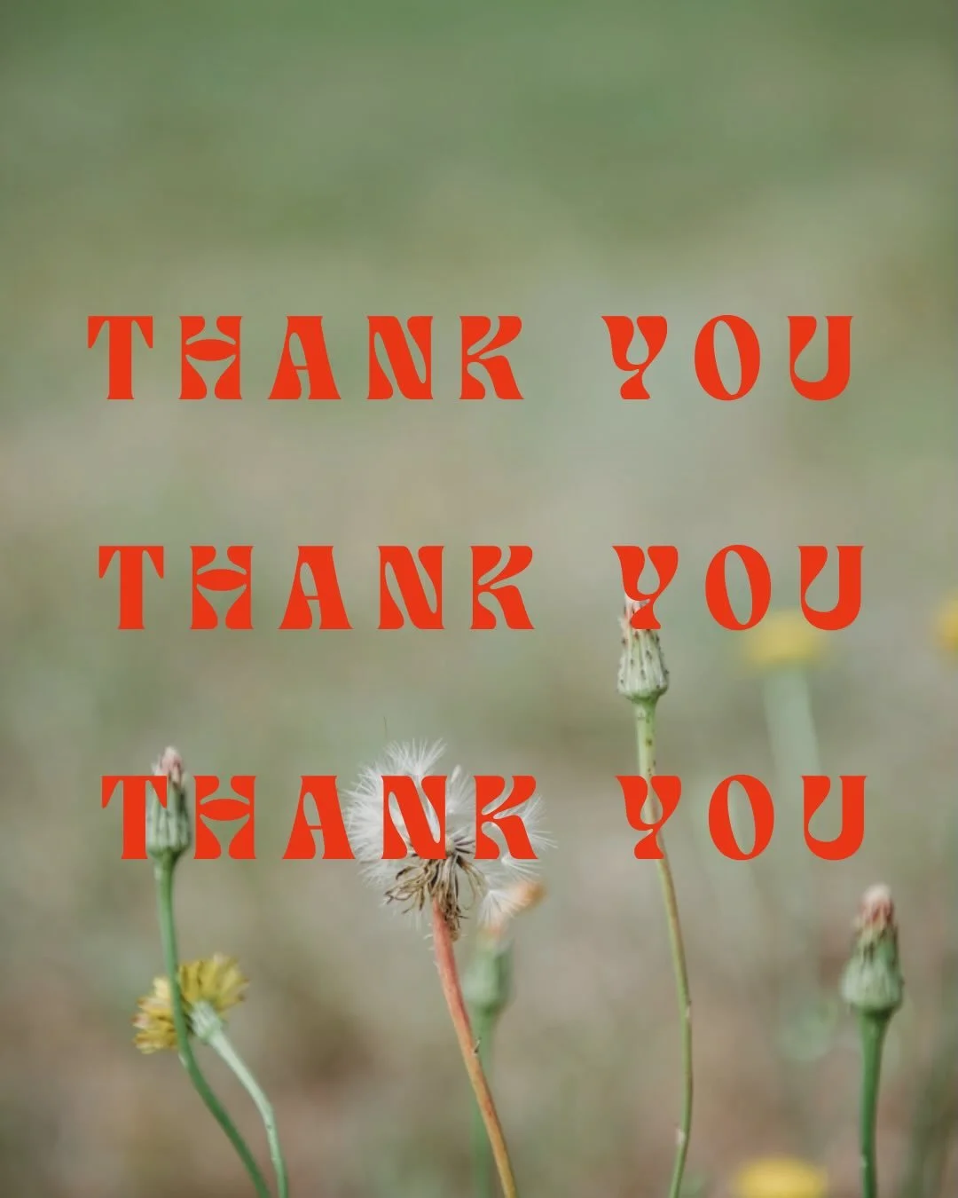 Thank you, thank you, thank you 🙏 

From the bottom of our very tired yet deeply fulfilled hearts, we are endlessly grateful to everyone who came with an open mind and an open heart to co-create a space of fun, safety, love, and acceptance.

Ember i