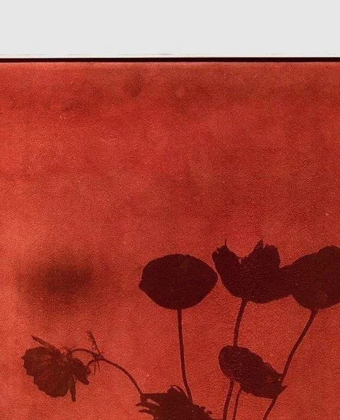 The power of women+ is in our constant growing, blooming and changing. ⁠
⁠
📸 Photo by Andy Keate