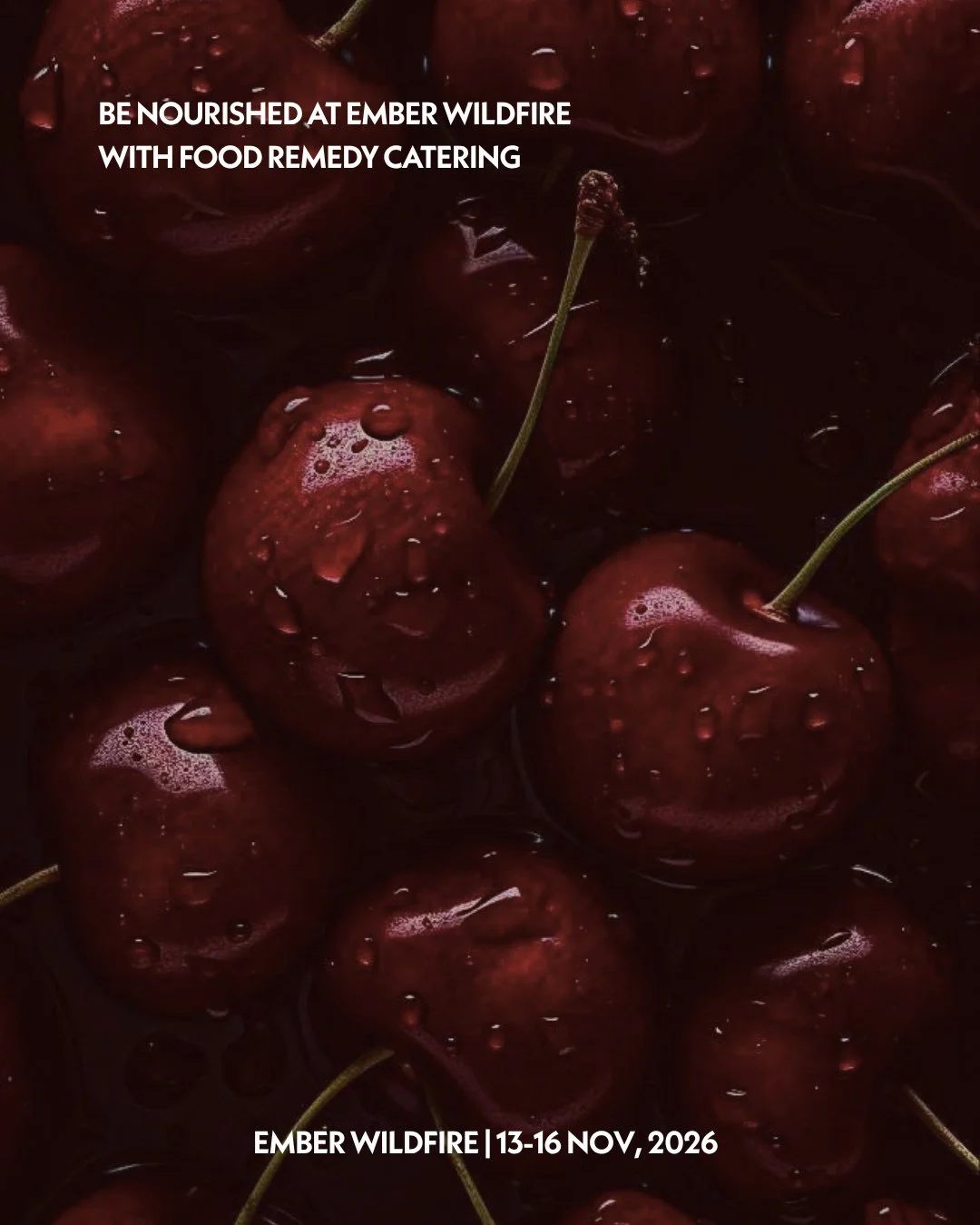Did you know that this year at Ember Wildfire, you can get some or all of your meals catered for by the team at @food.remedy?⁠
⁠
Deeply nourishing meals that take all the fuss out of planning, shopping and cooking so you can relax and enjoy every mom